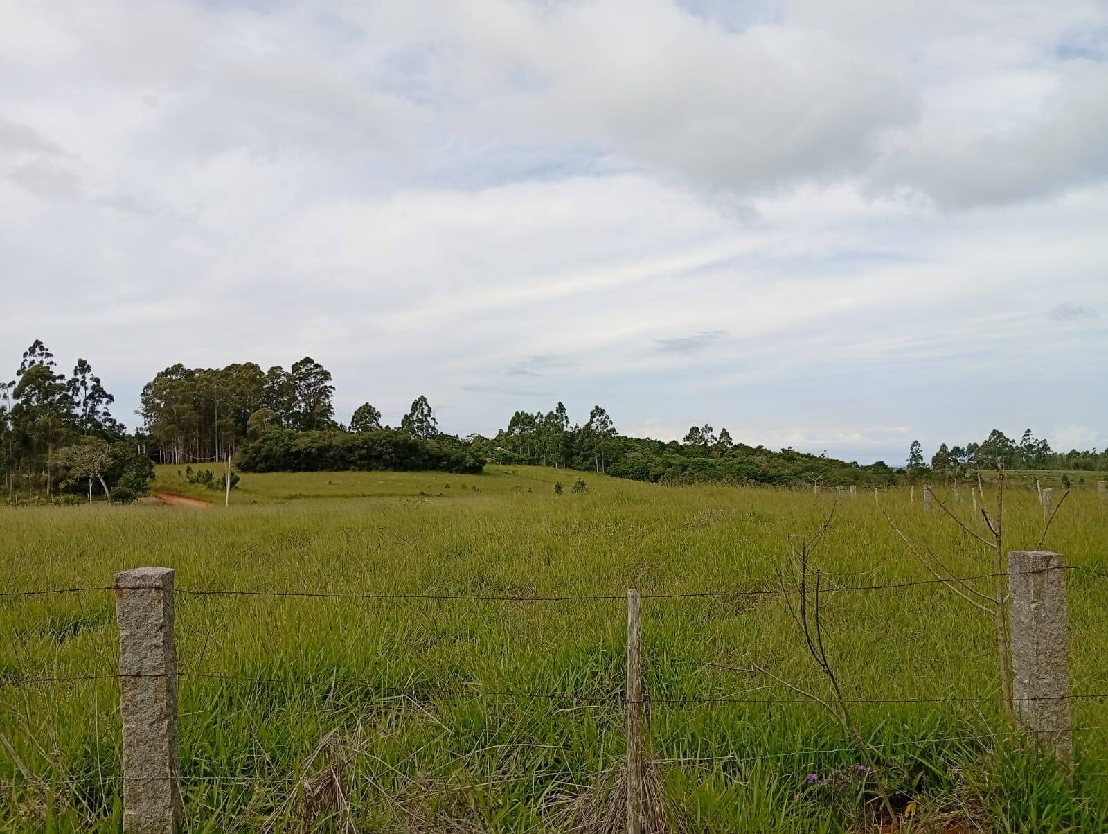 Terreno à venda, 90000m² - Foto 6