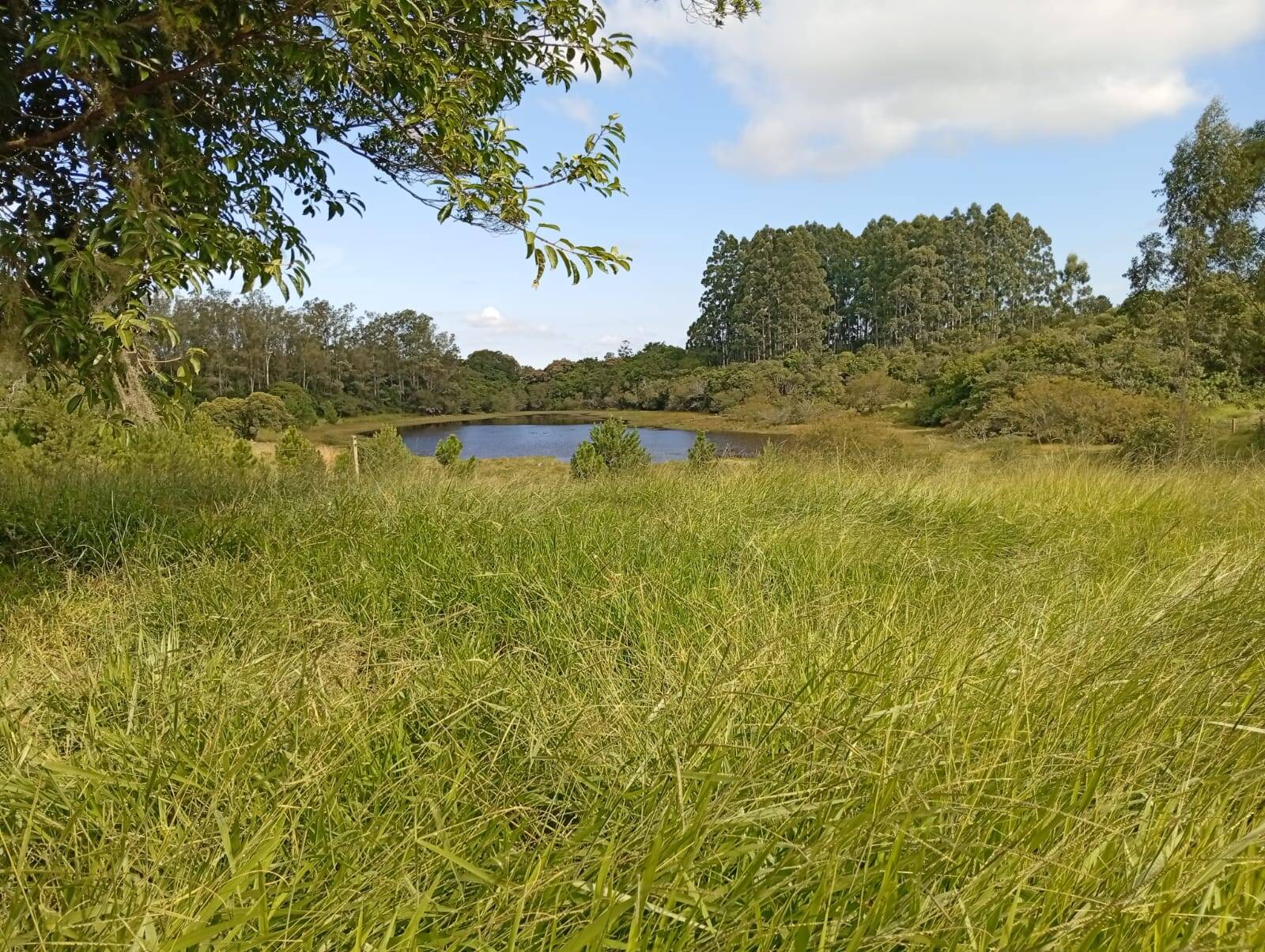 Terreno à venda, 90000m² - Foto 9