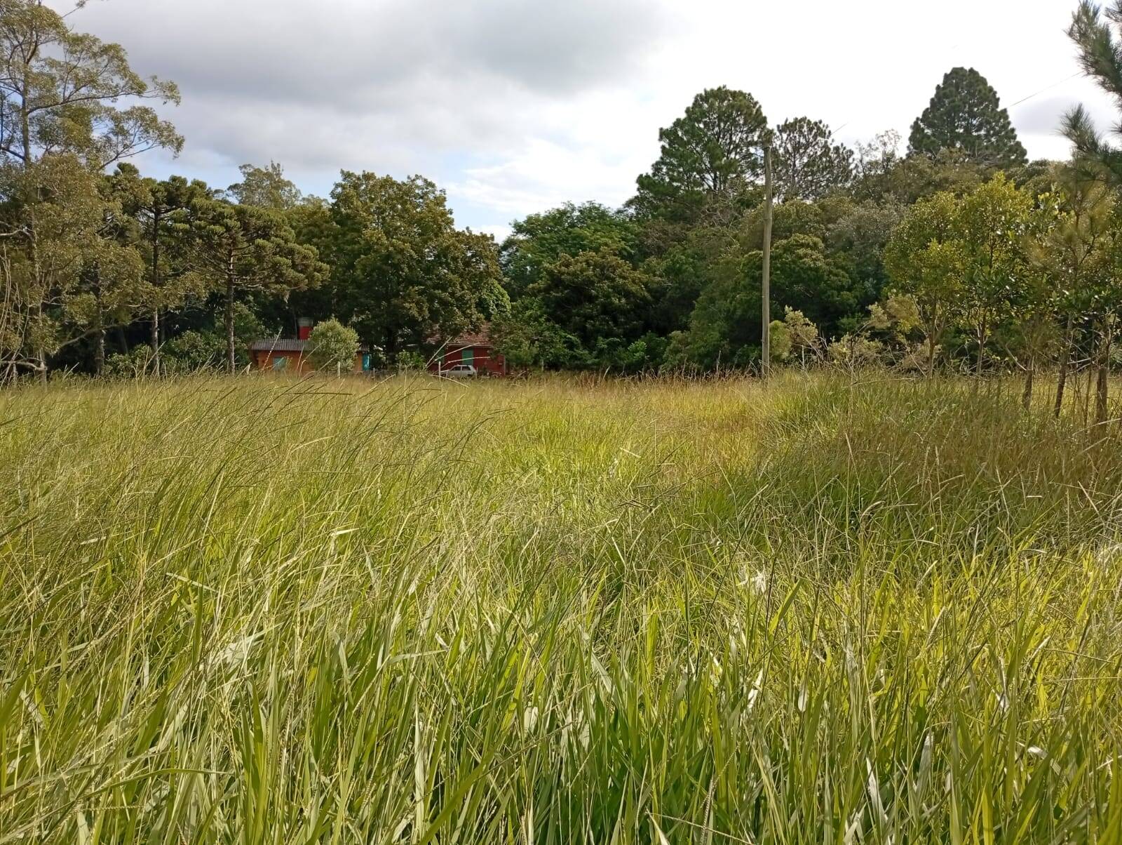 Terreno à venda, 90000m² - Foto 10