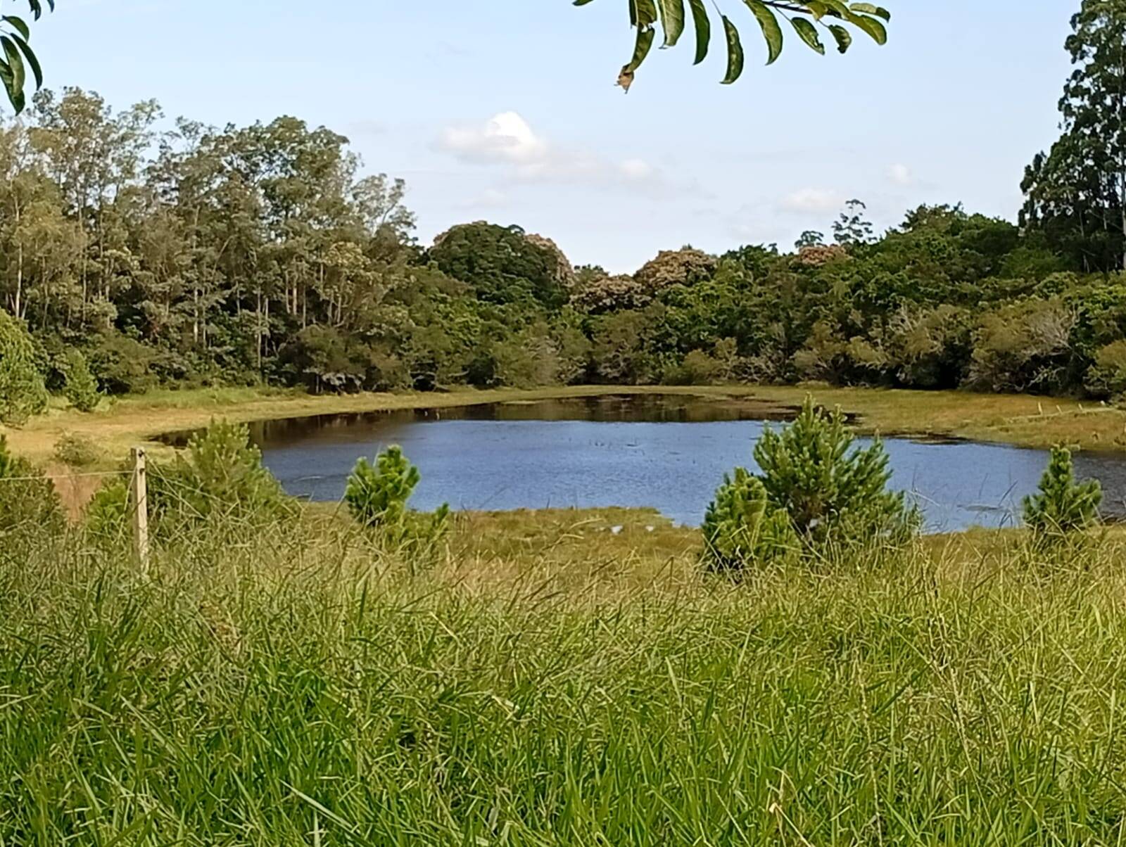 Terreno à venda, 90000m² - Foto 12