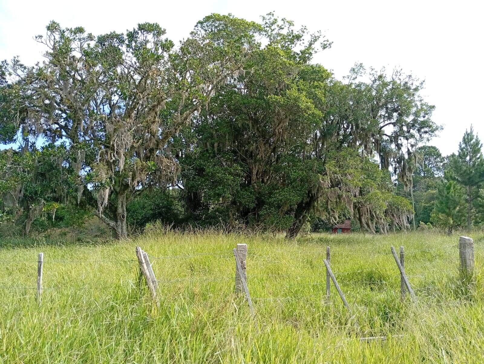 Terreno à venda, 90000m² - Foto 13