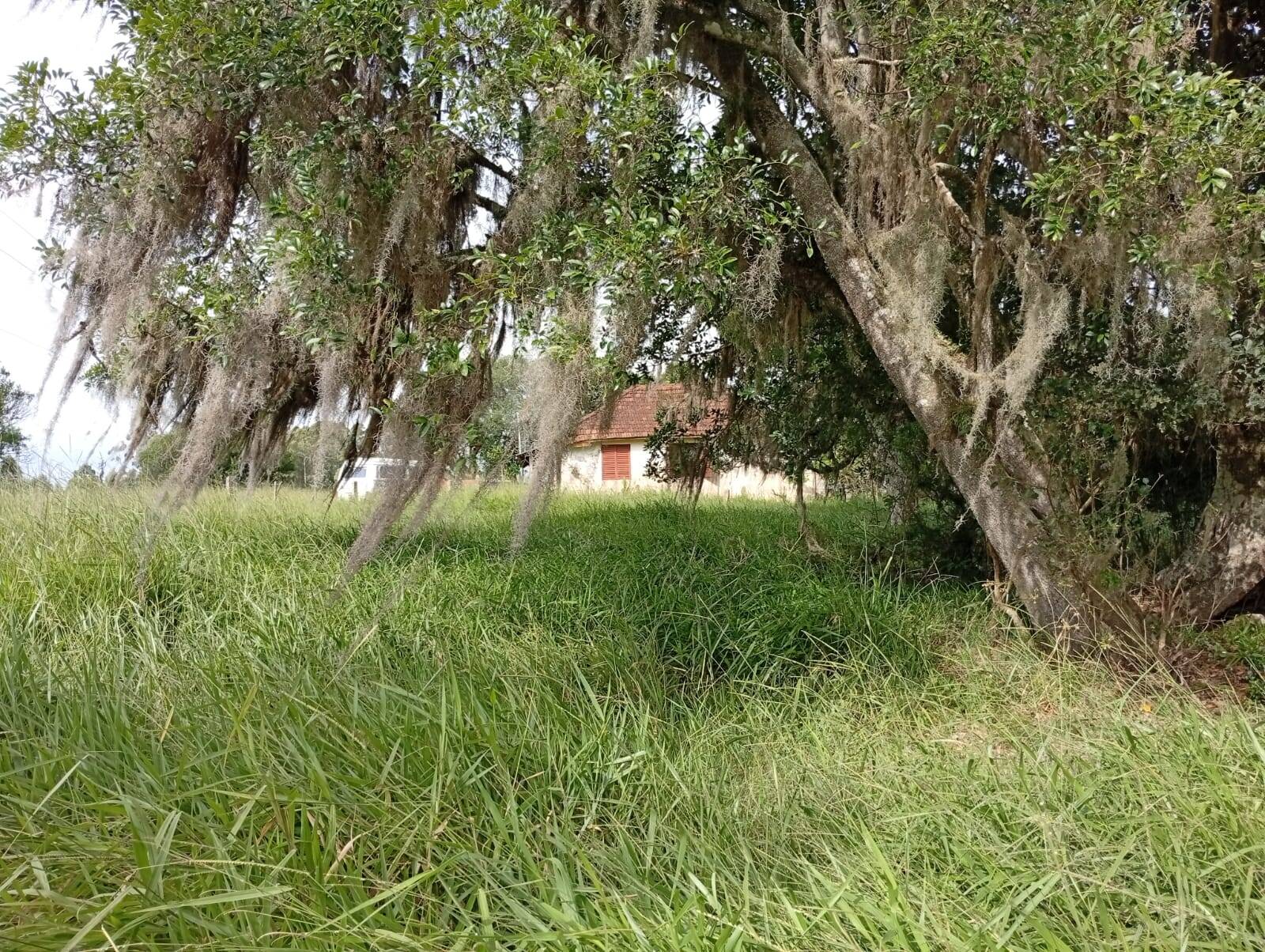Terreno à venda, 90000m² - Foto 15