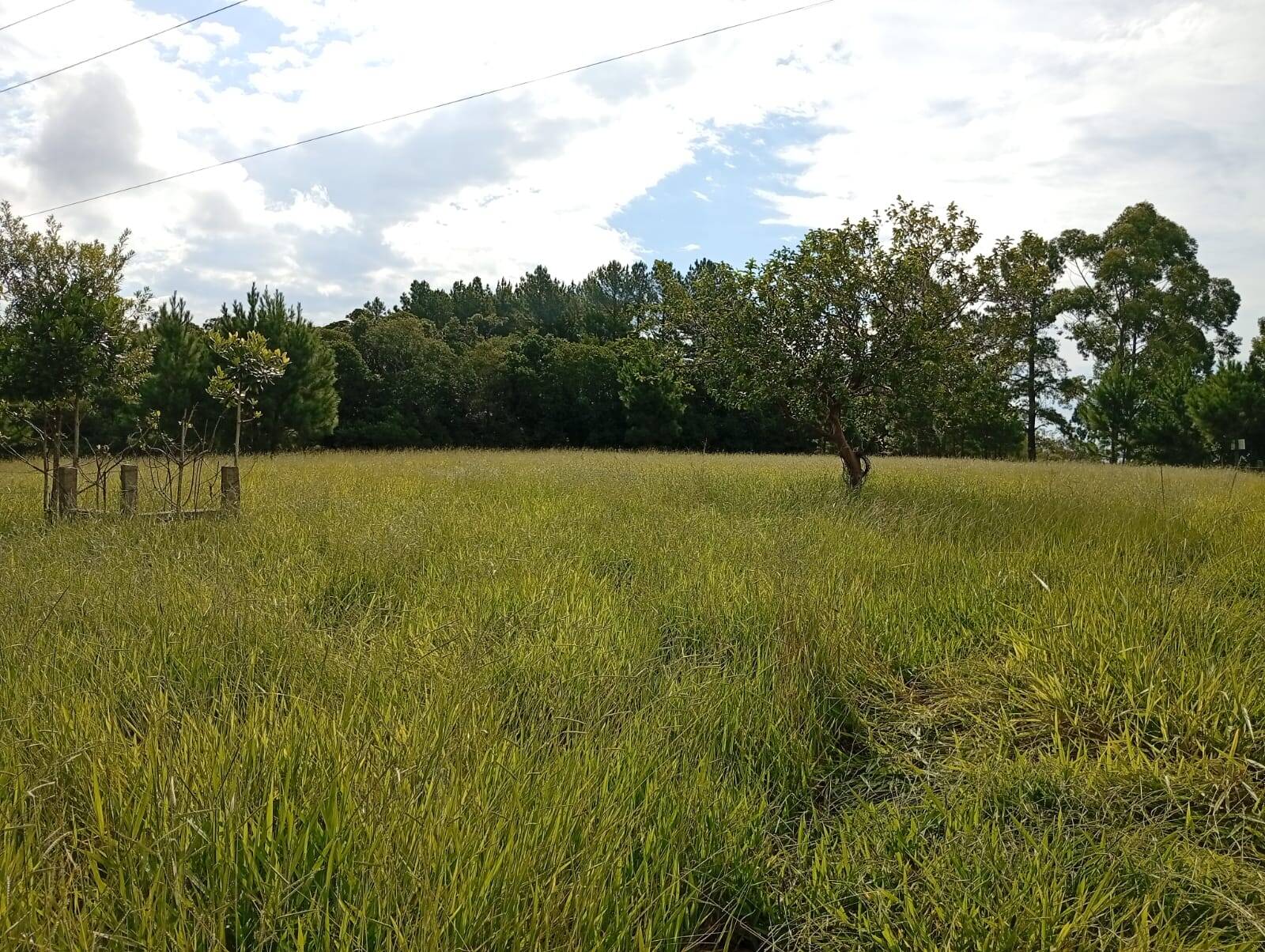 Terreno à venda, 90000m² - Foto 14