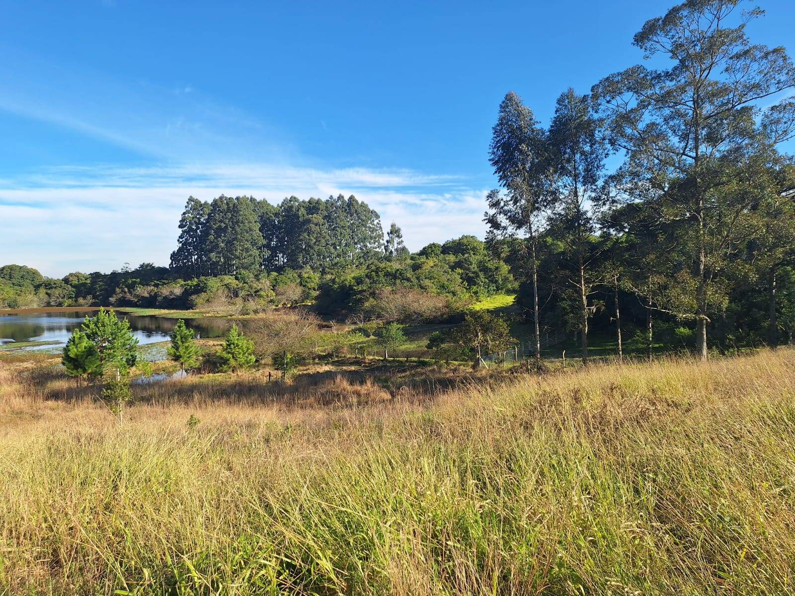 Terreno à venda, 90000m² - Foto 2