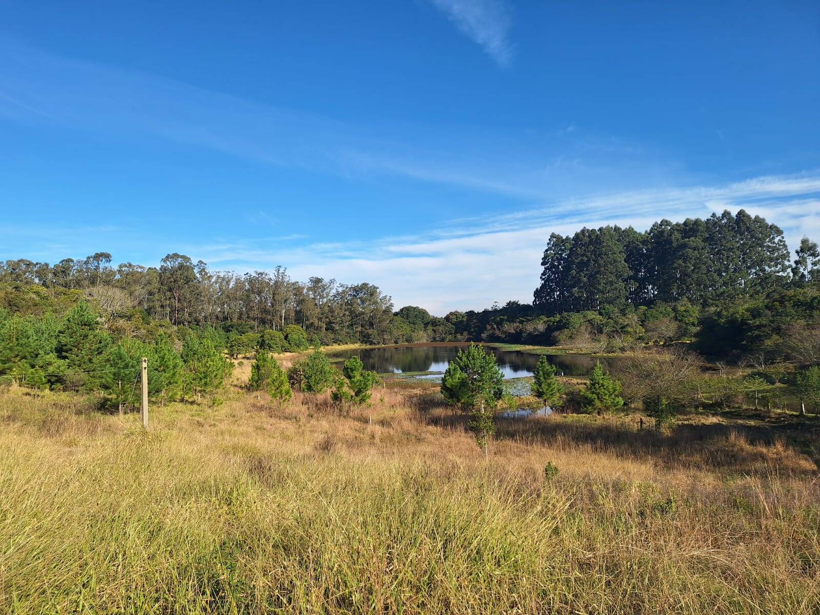 Terreno à venda, 90000m² - Foto 16