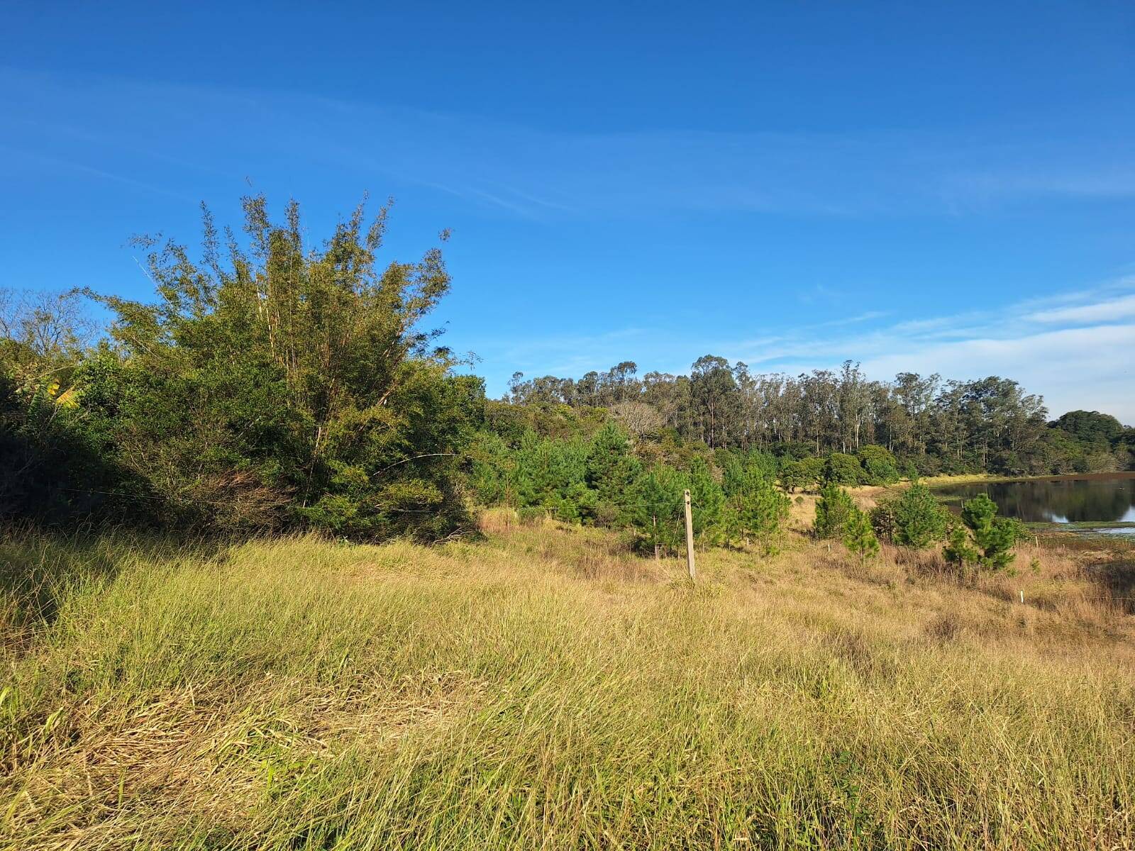 Terreno à venda, 90000m² - Foto 17