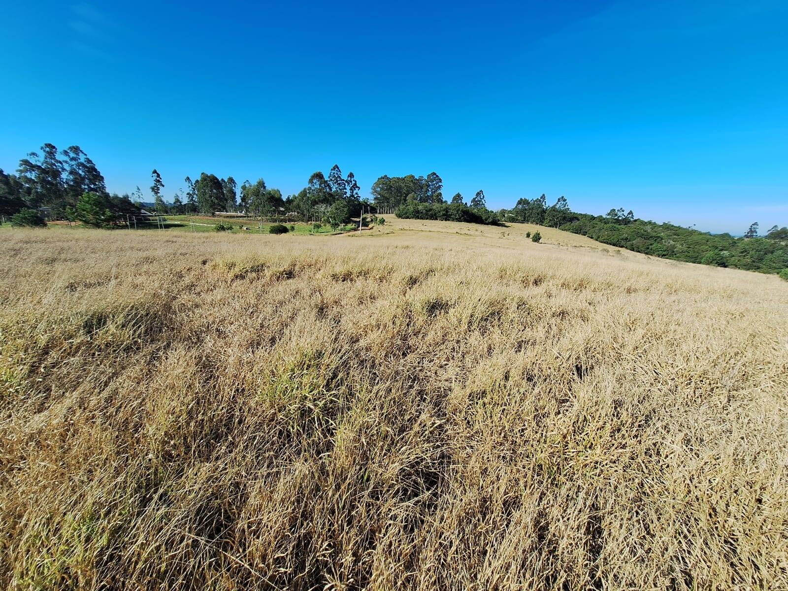 Terreno à venda, 90000m² - Foto 18