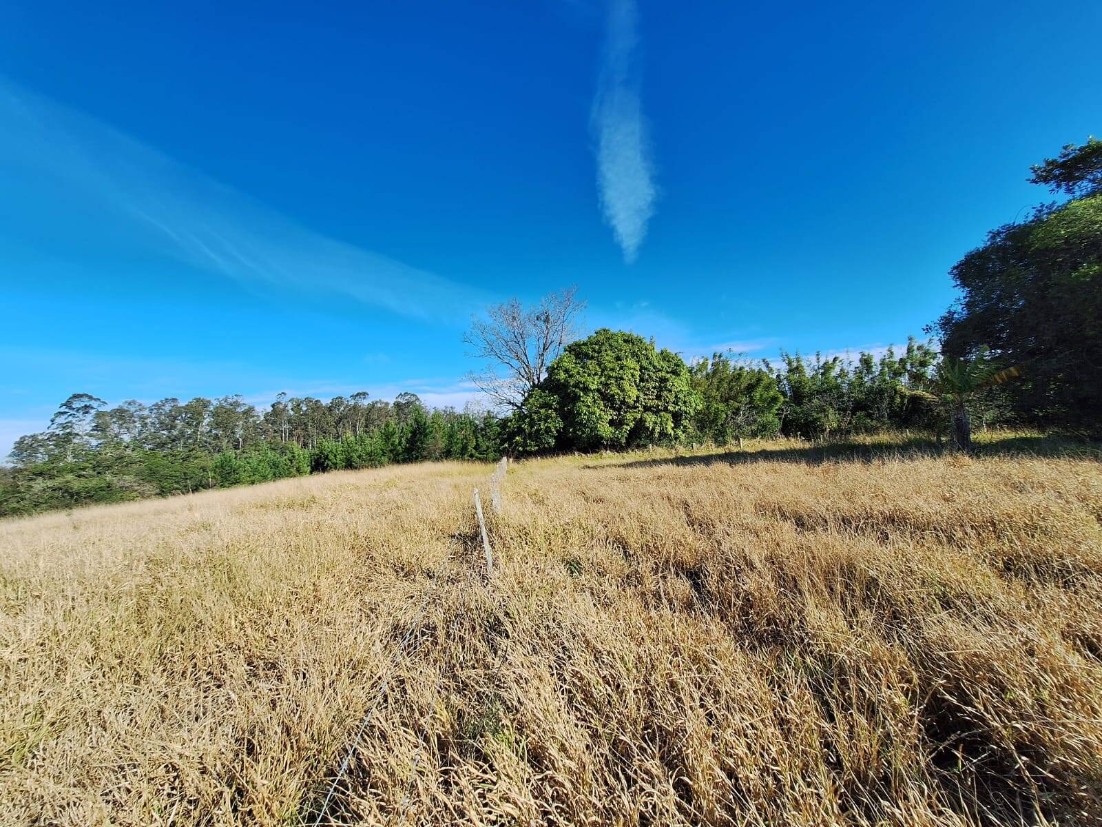 Terreno à venda, 90000m² - Foto 19