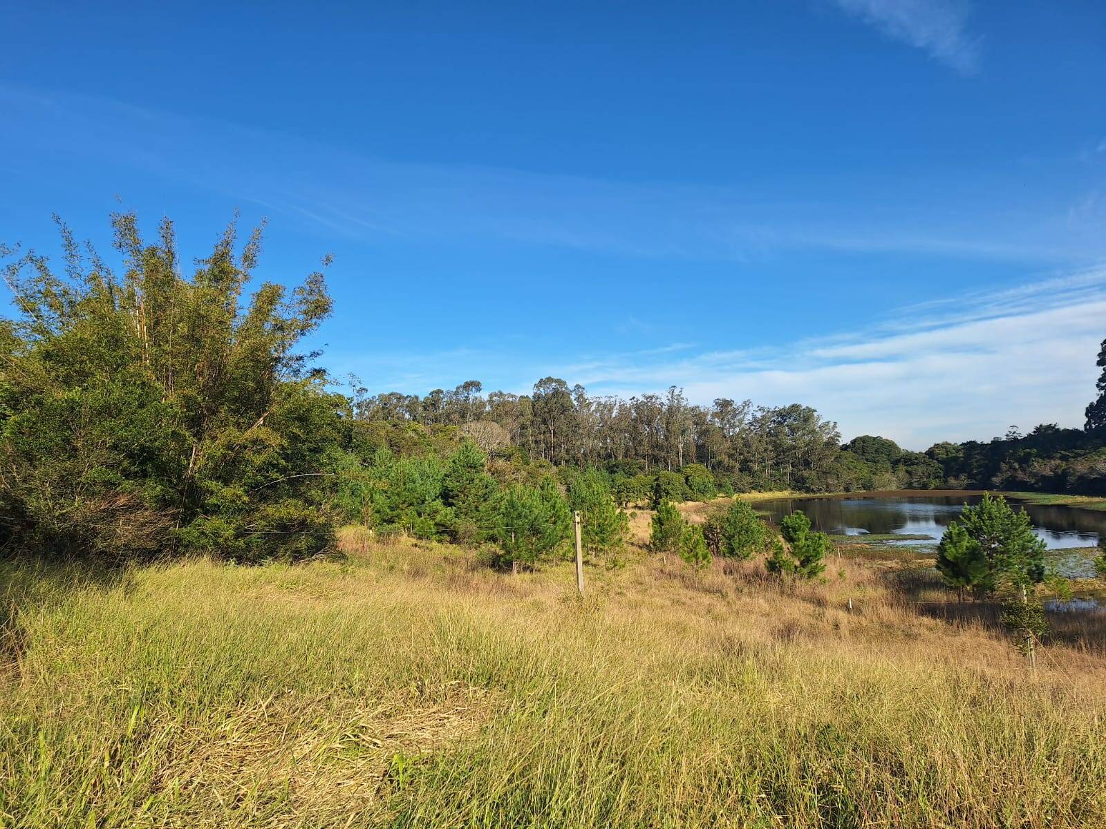 Terreno à venda, 90000m² - Foto 20