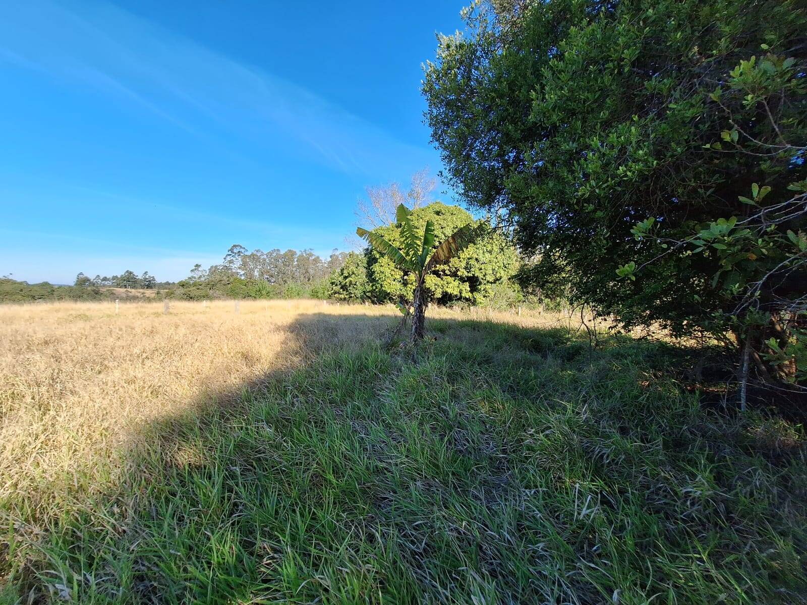 Terreno à venda, 90000m² - Foto 22