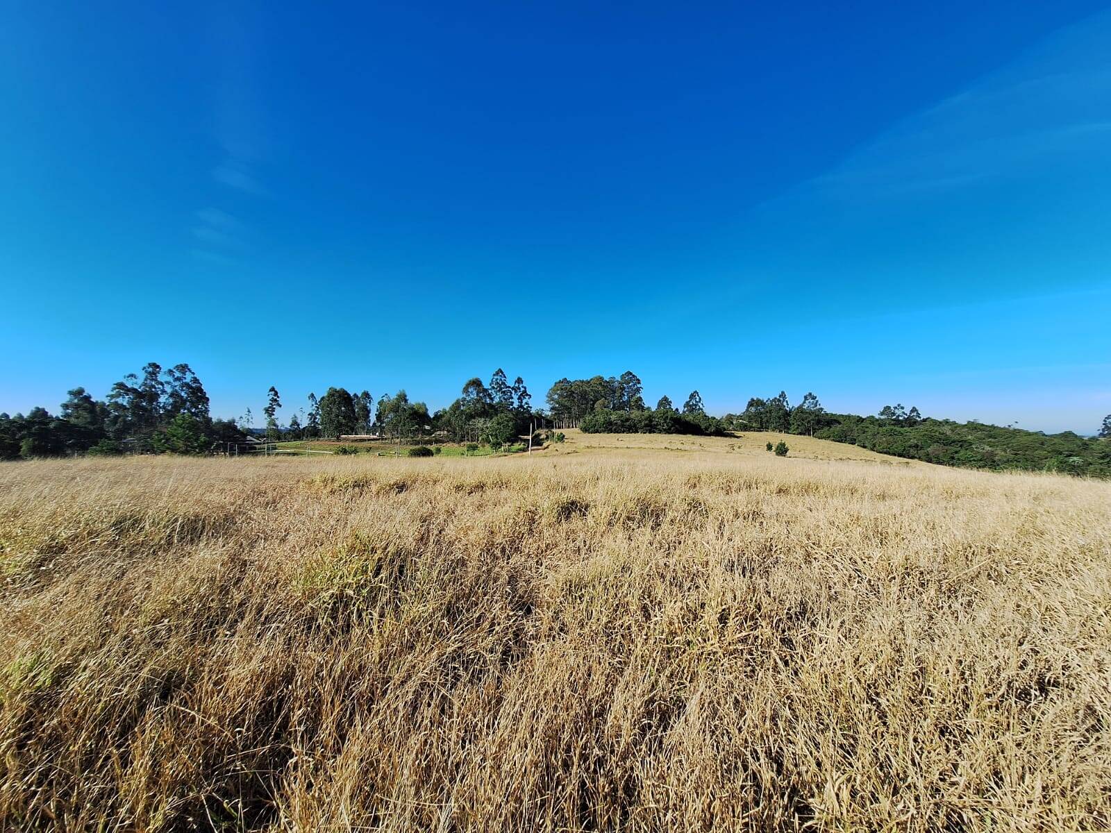 Terreno à venda, 90000m² - Foto 23