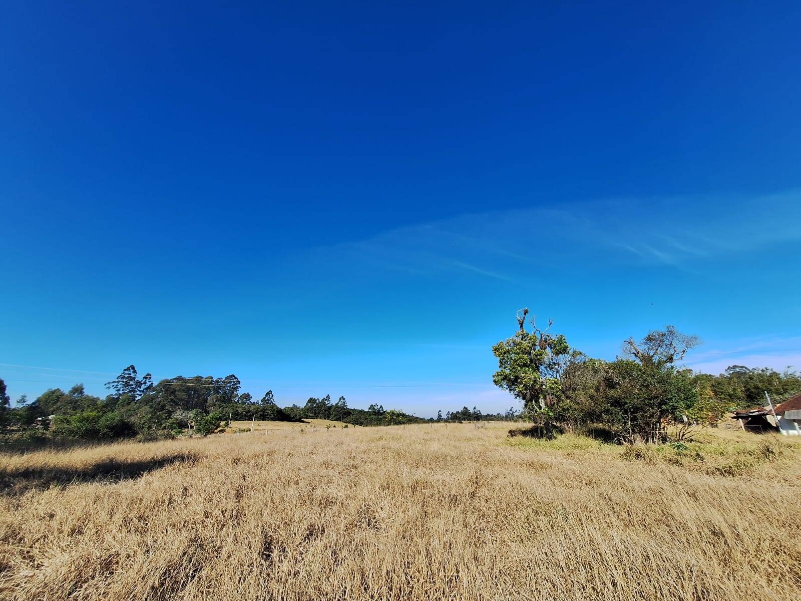 Terreno à venda, 90000m² - Foto 24