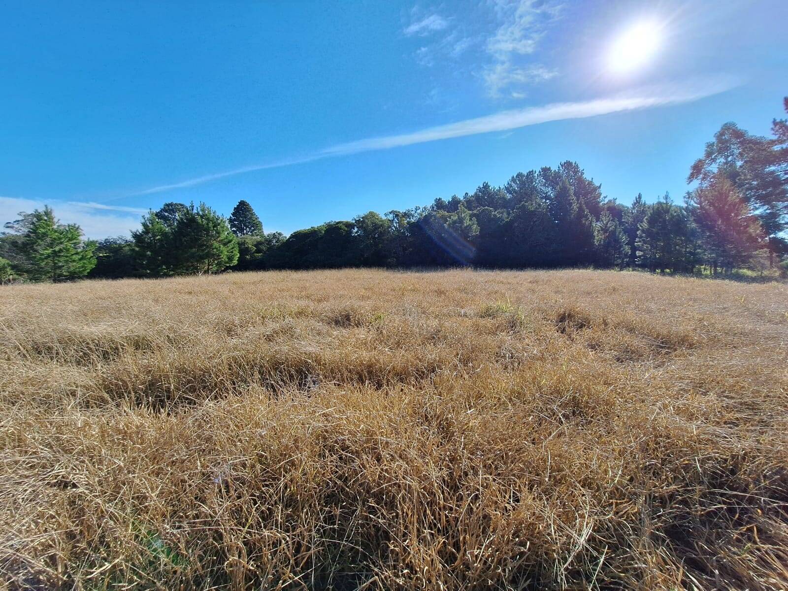 Terreno à venda, 90000m² - Foto 25
