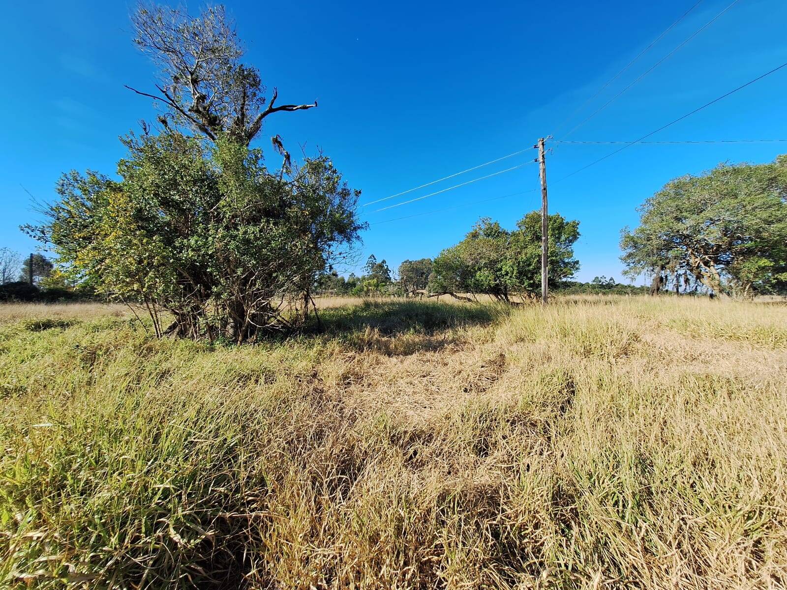 Terreno à venda, 90000m² - Foto 26
