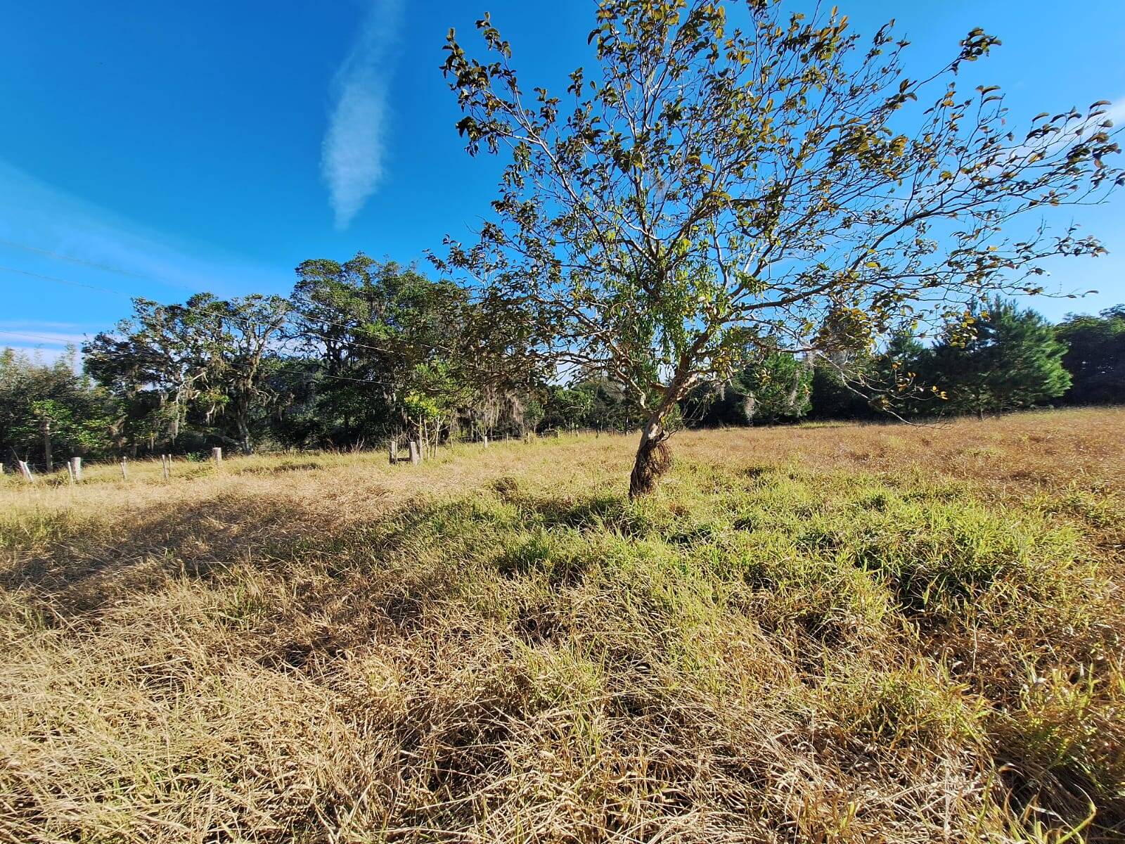 Terreno à venda, 90000m² - Foto 27