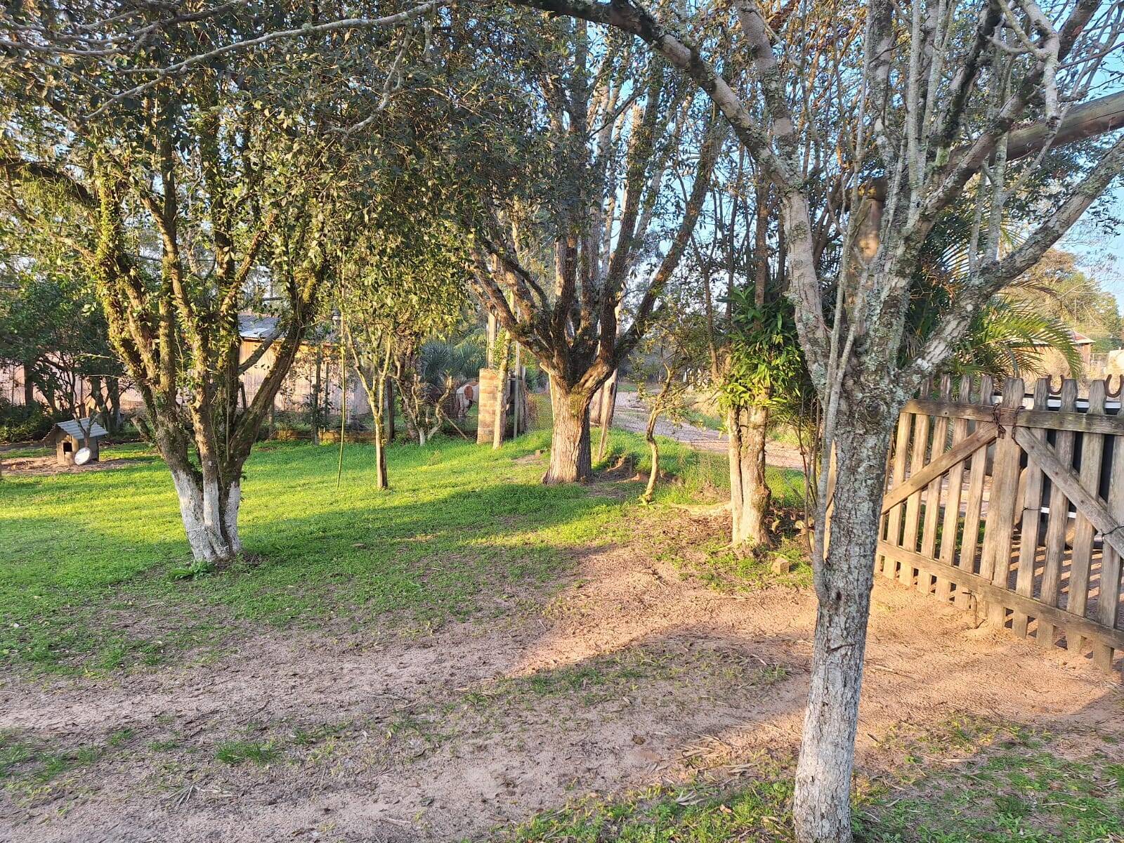 Sítio, 2 quartos, 1750 m² - Foto 7