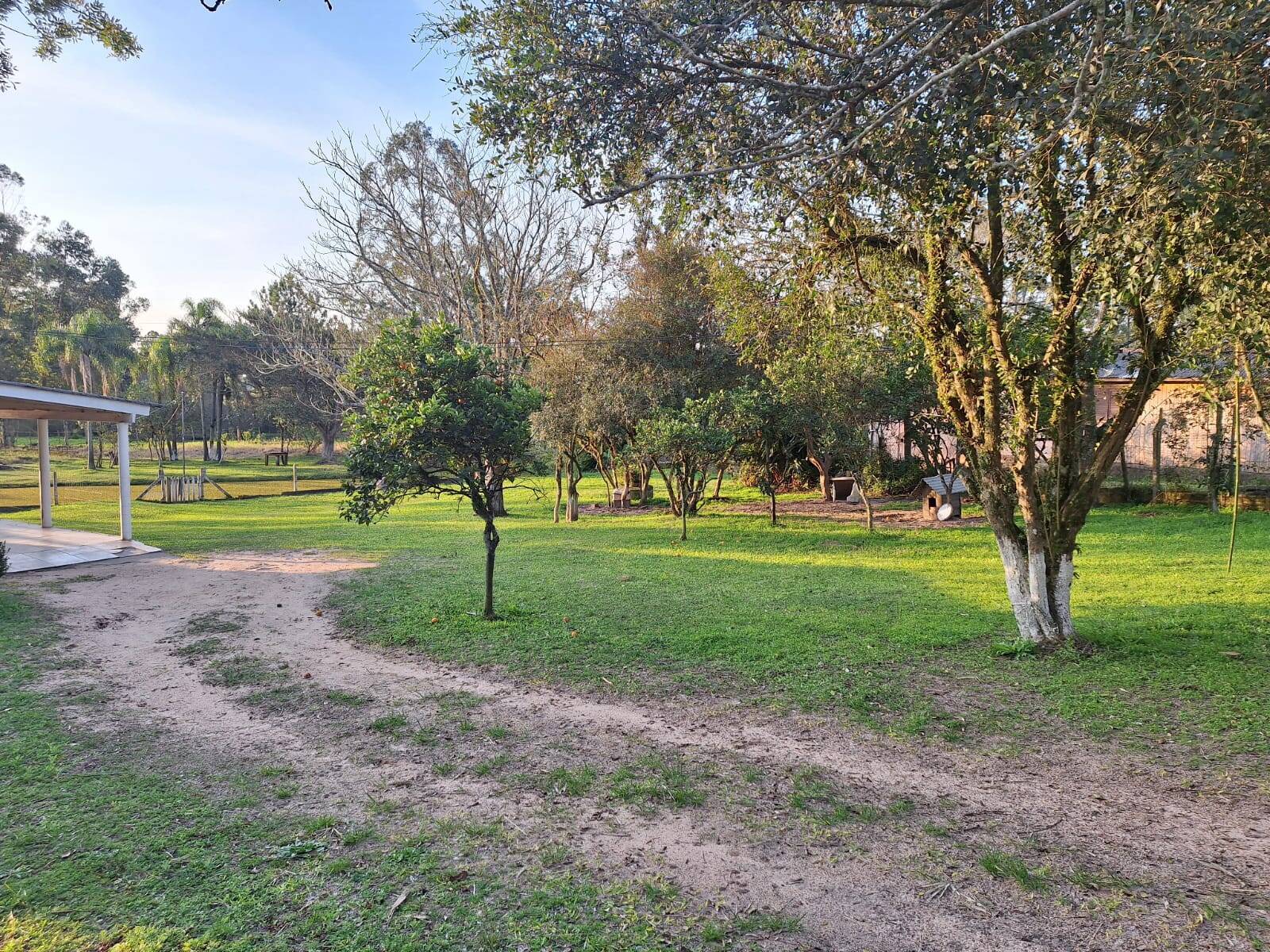 Sítio, 2 quartos, 1750 m² - Foto 4