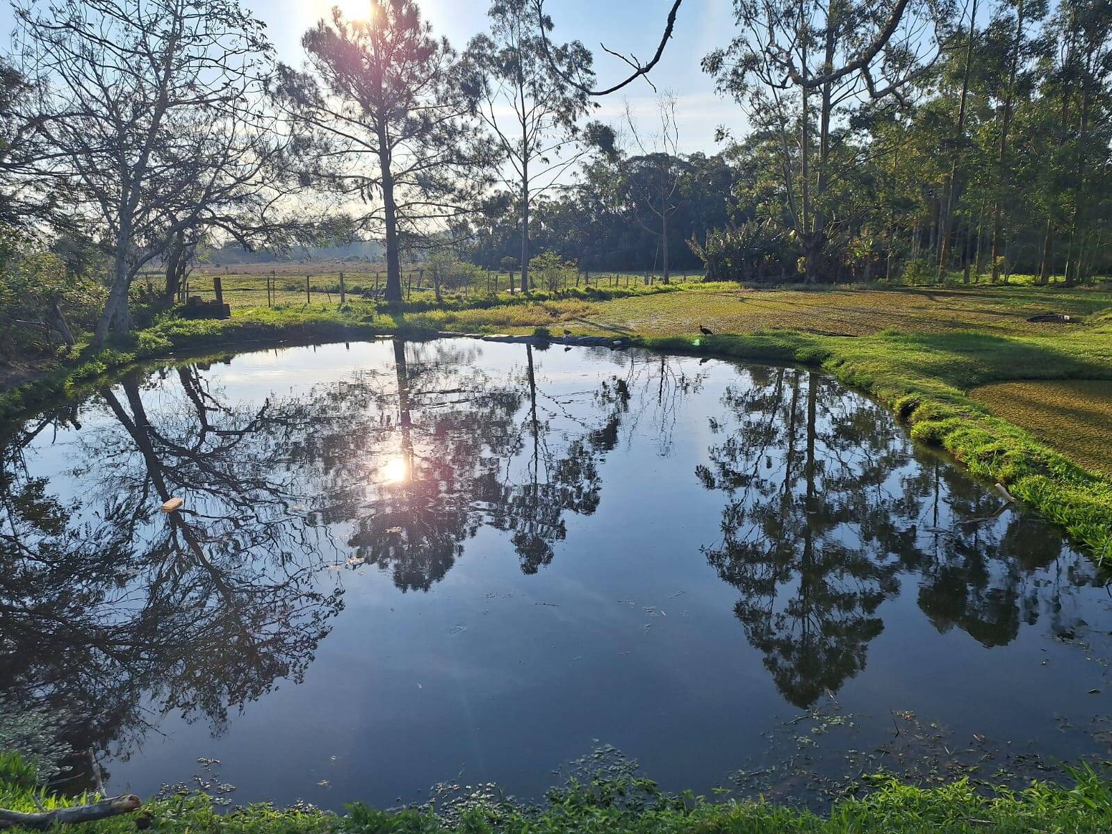 Sítio, 2 quartos, 1750 m² - Foto 3