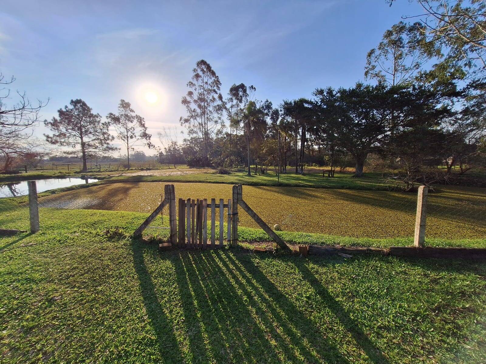 Sítio, 2 quartos, 1750 m² - Foto 5