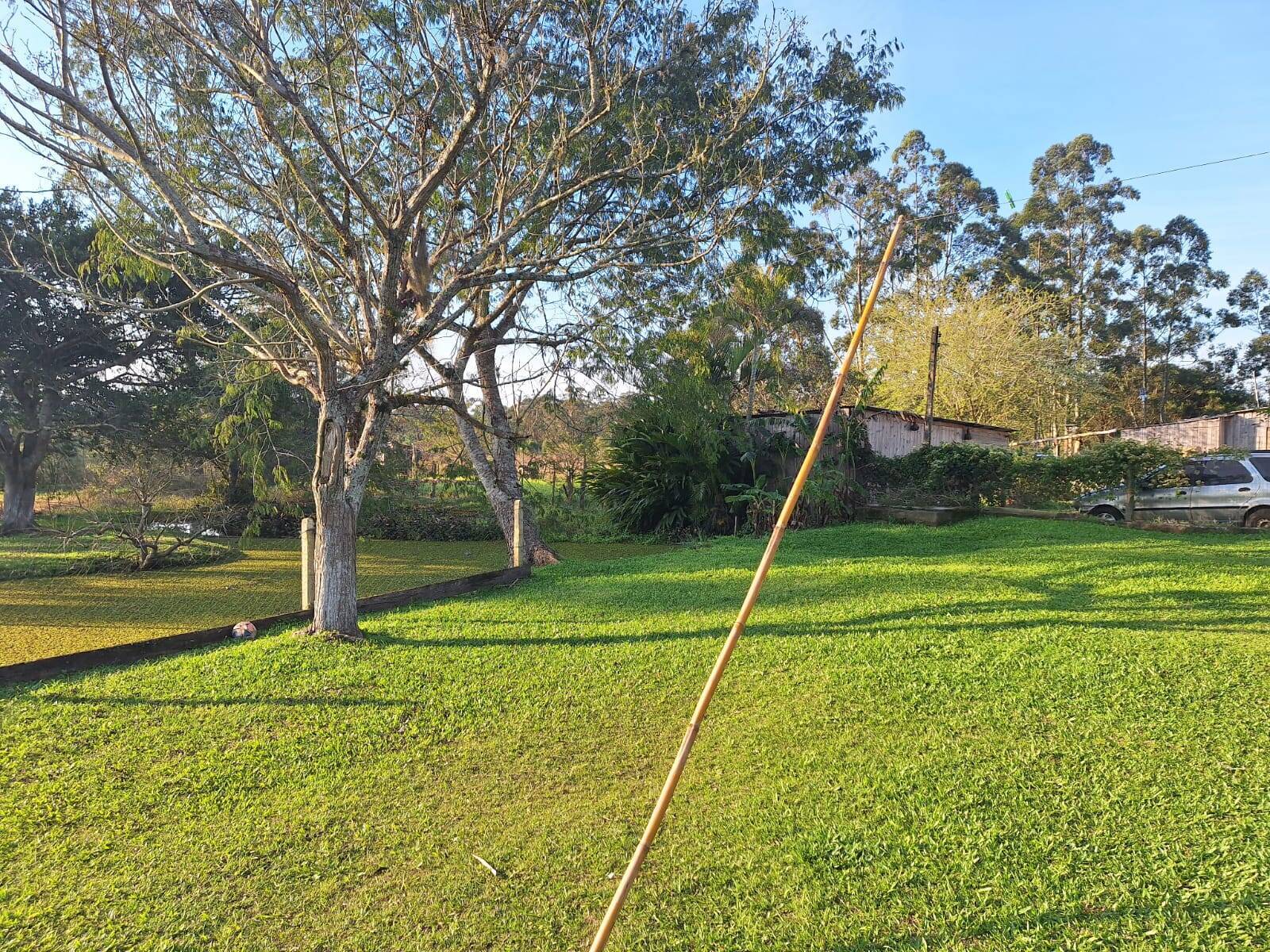 Sítio, 2 quartos, 1750 m² - Foto 12