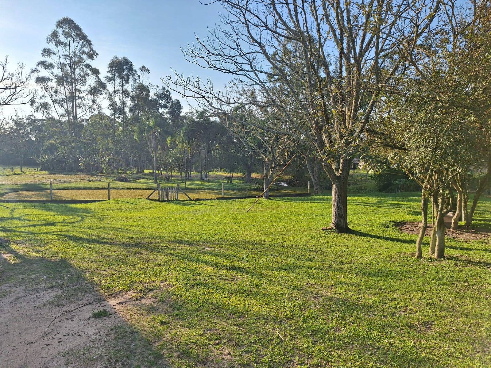 Sítio, 2 quartos, 1750 m² - Foto 13