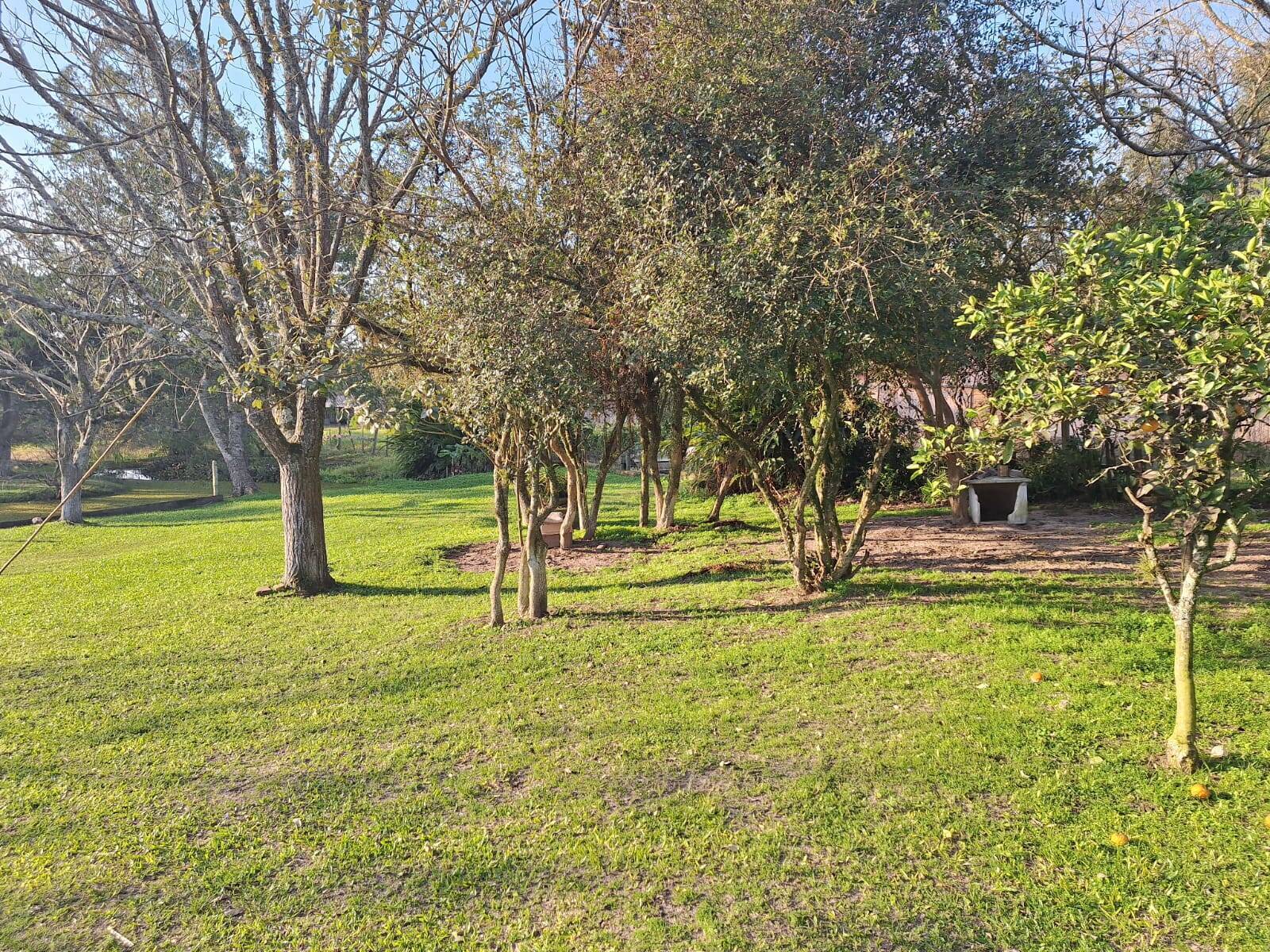 Sítio, 2 quartos, 1750 m² - Foto 14