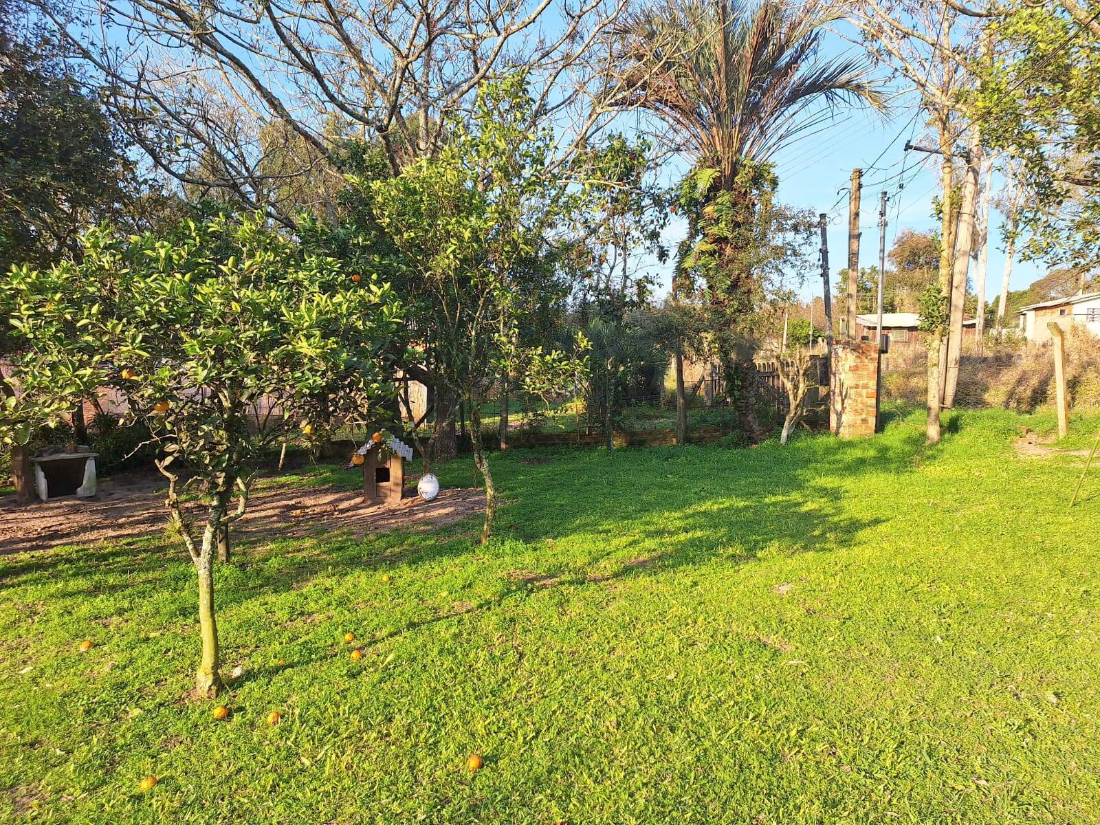 Sítio, 2 quartos, 1750 m² - Foto 15