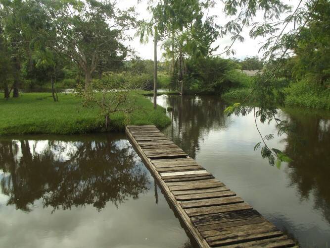 Sítio, 2 quartos, 1750 m² - Foto 38