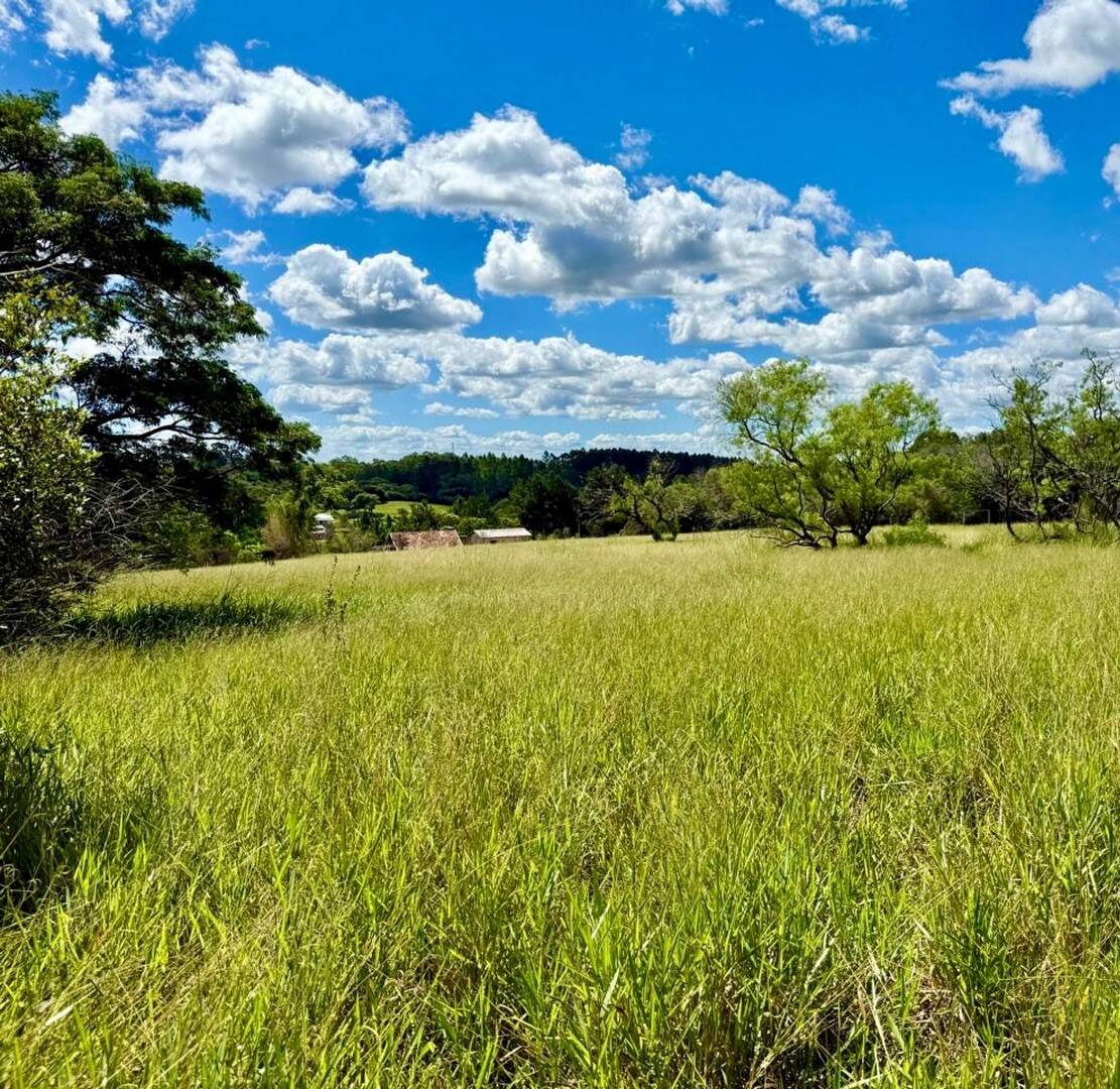 Sítio, 2 quartos, 3 hectares - Foto 6