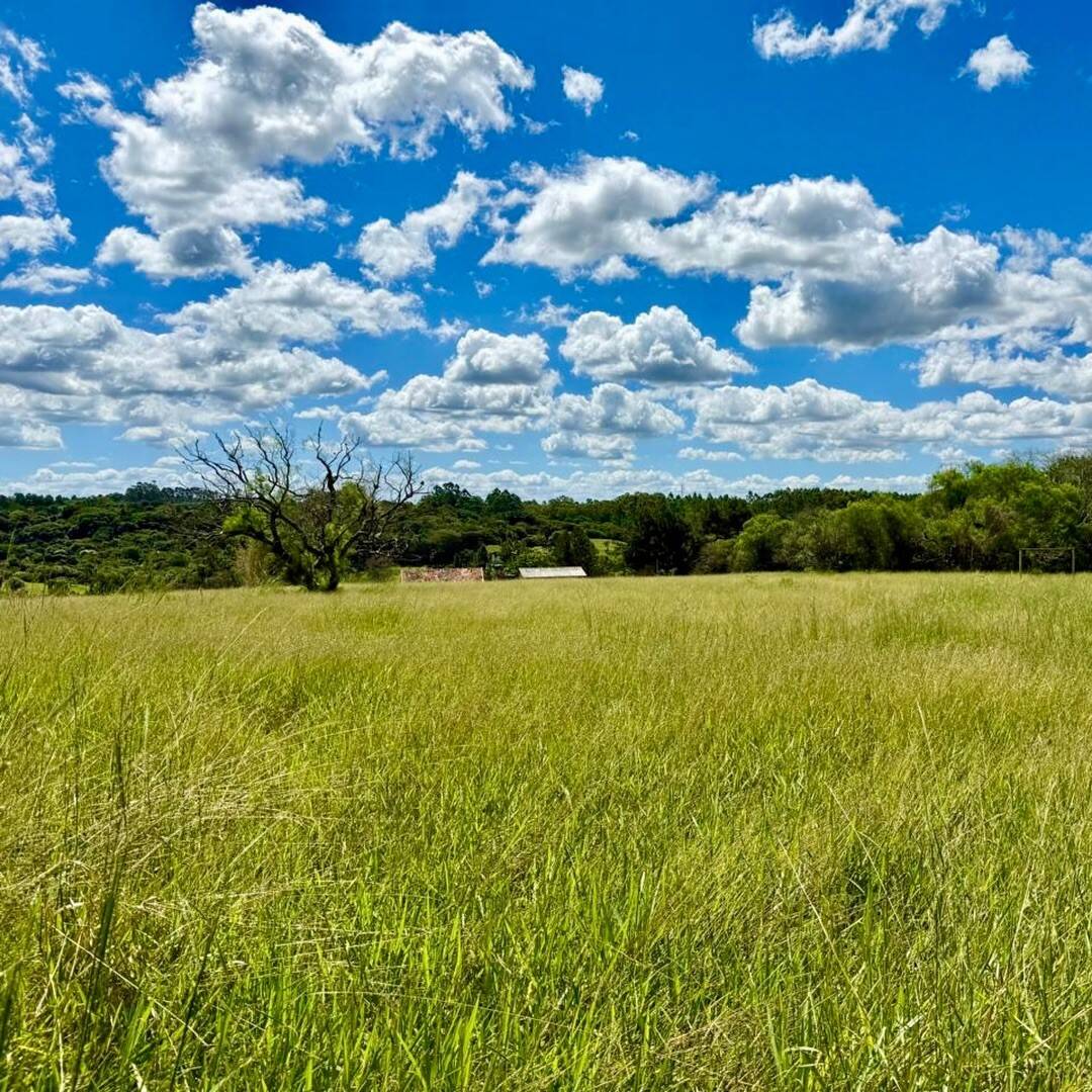 Sítio, 2 quartos, 3 hectares - Foto 8