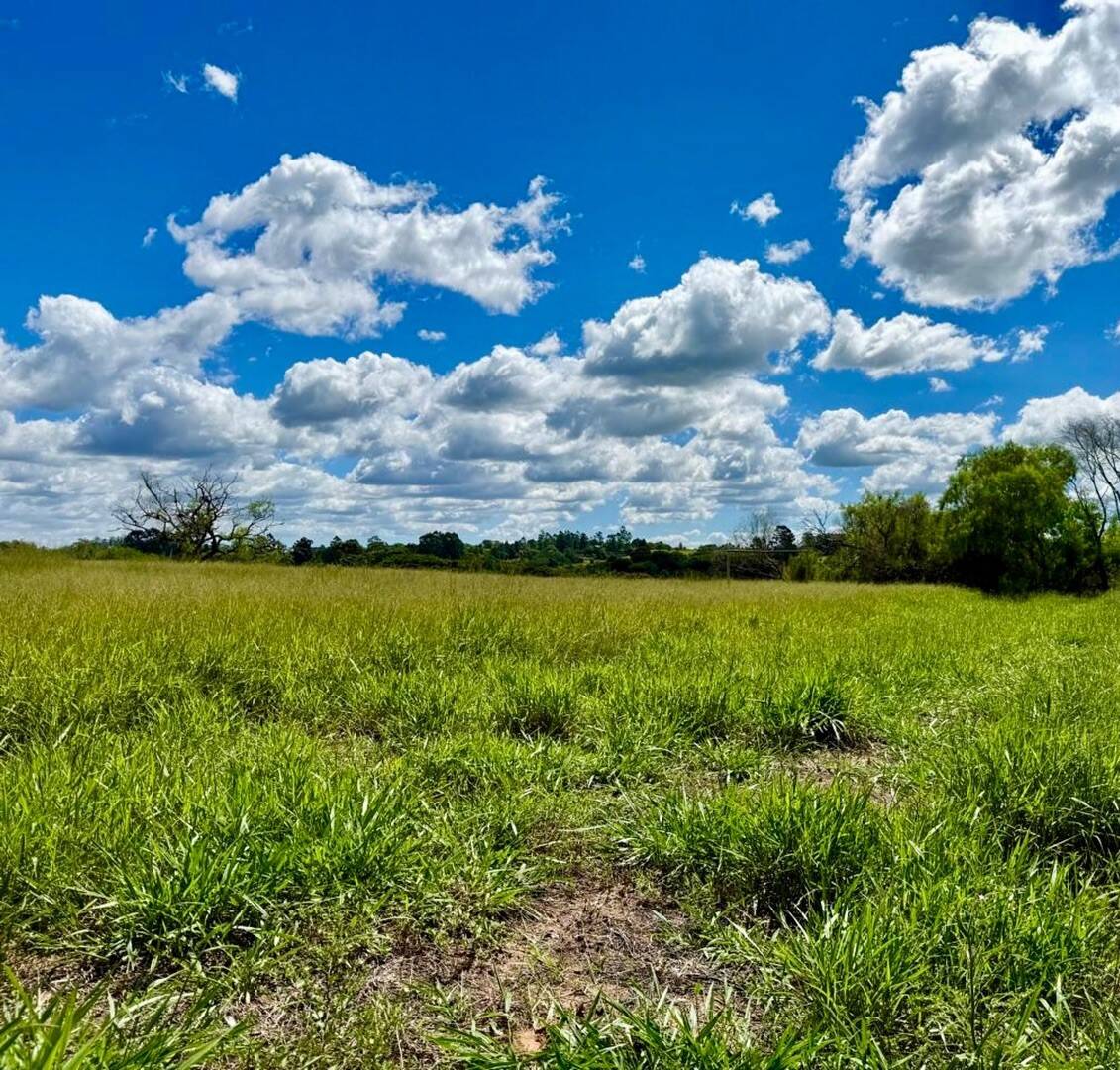 Sítio, 2 quartos, 3 hectares - Foto 7