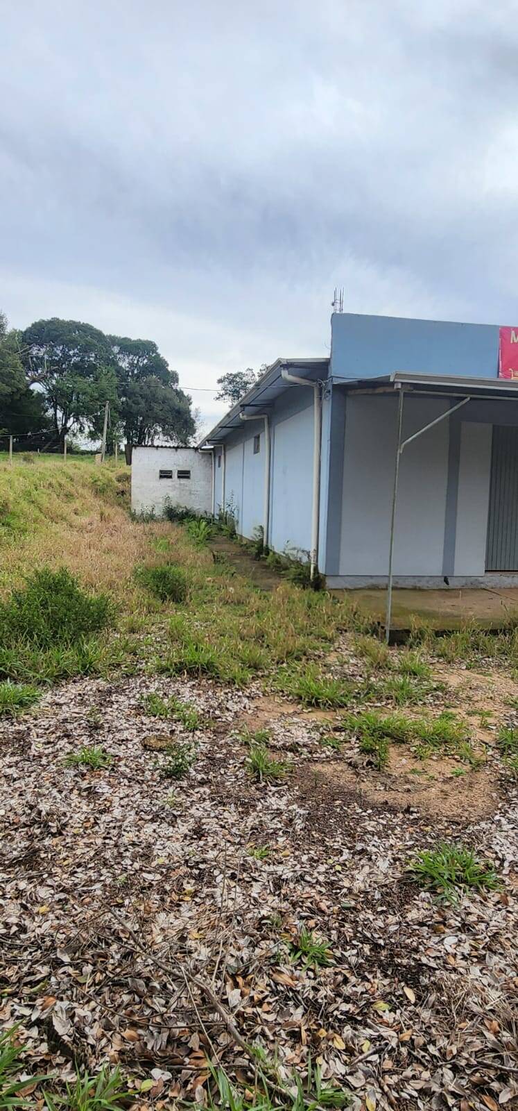 Sítio, 2 quartos, 3 hectares - Foto 9