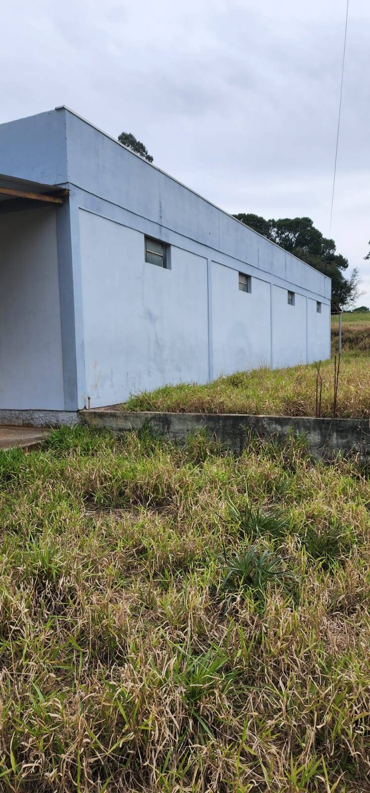 Sítio, 2 quartos, 3 hectares - Foto 4