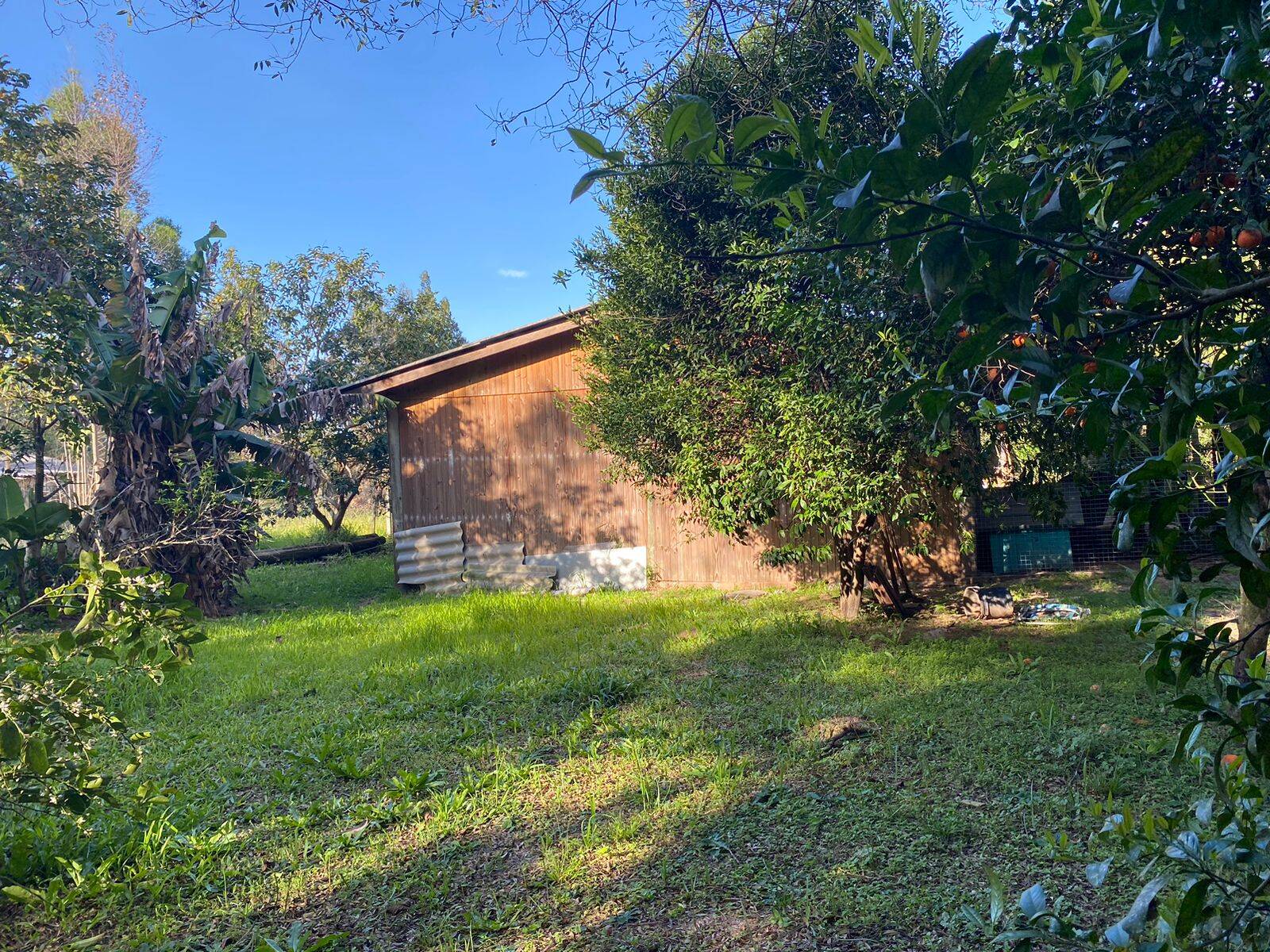 Sítio, 2 quartos, 1450 m² - Foto 14