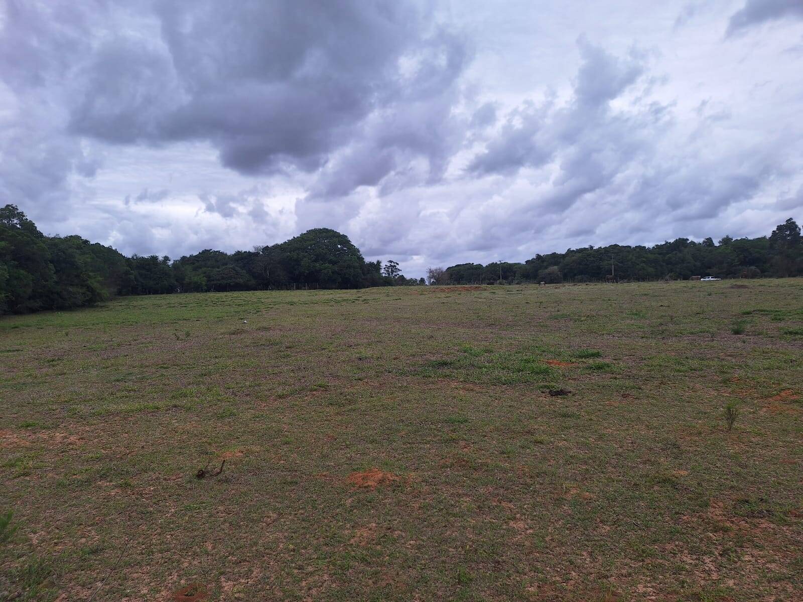 Terreno, 2 hectares - Foto 2