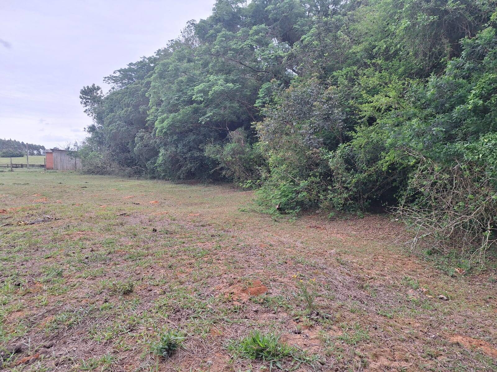 Terreno, 2 hectares - Foto 4