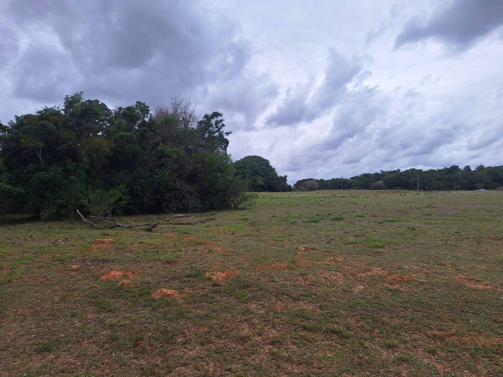 Terreno, 2 hectares - Foto 3