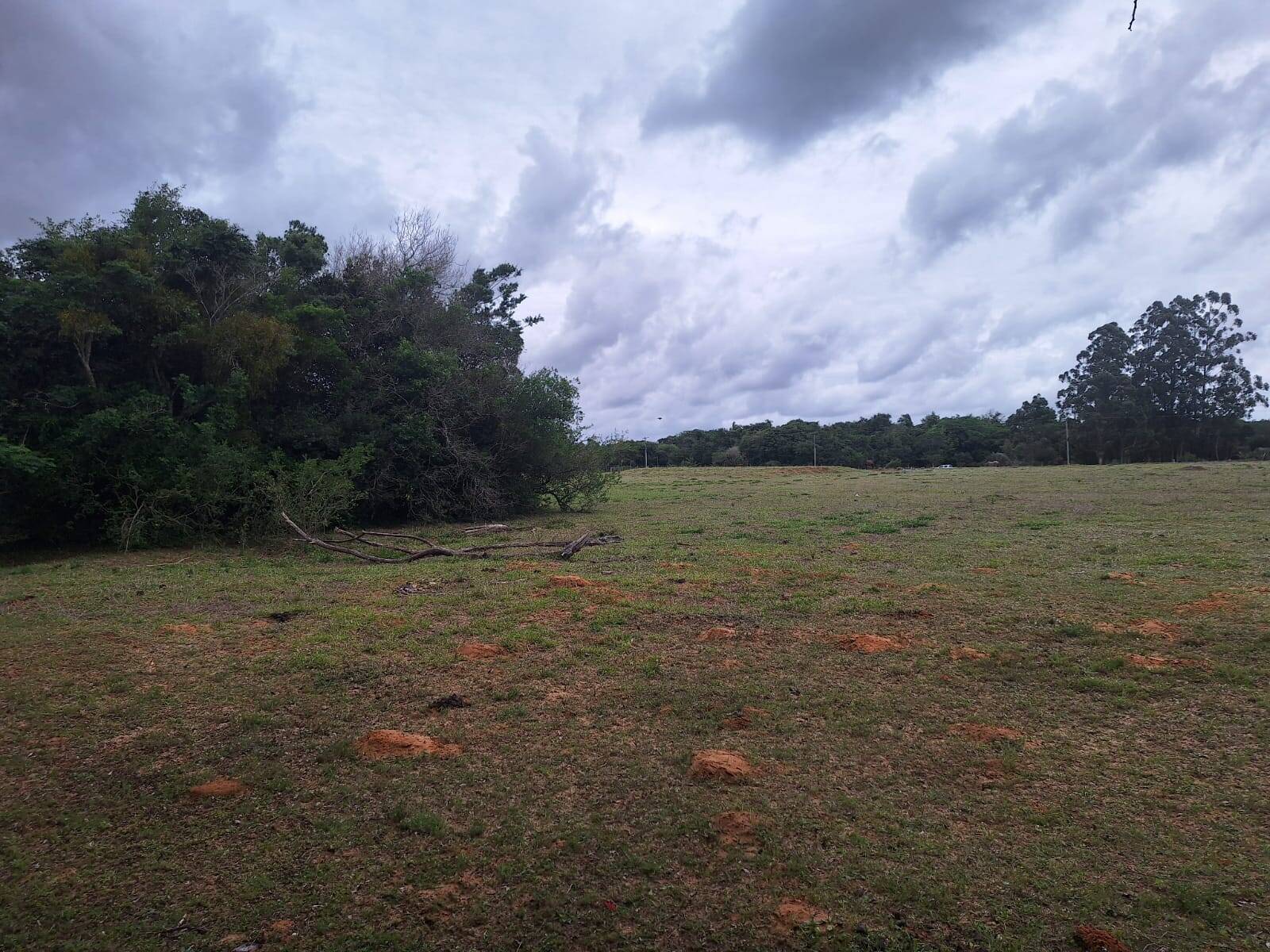 Terreno, 2 hectares - Foto 6