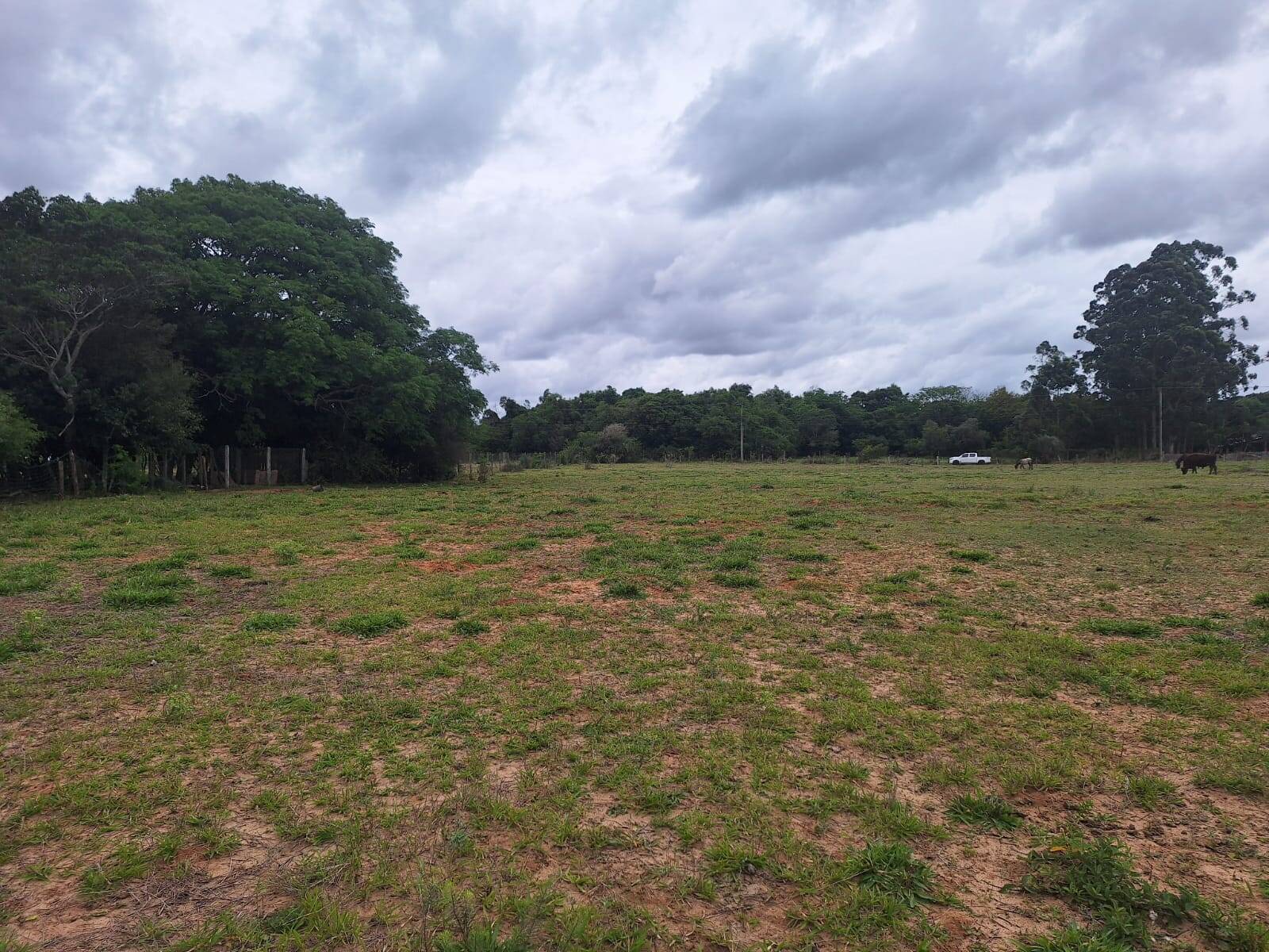 Terreno, 2 hectares - Foto 12