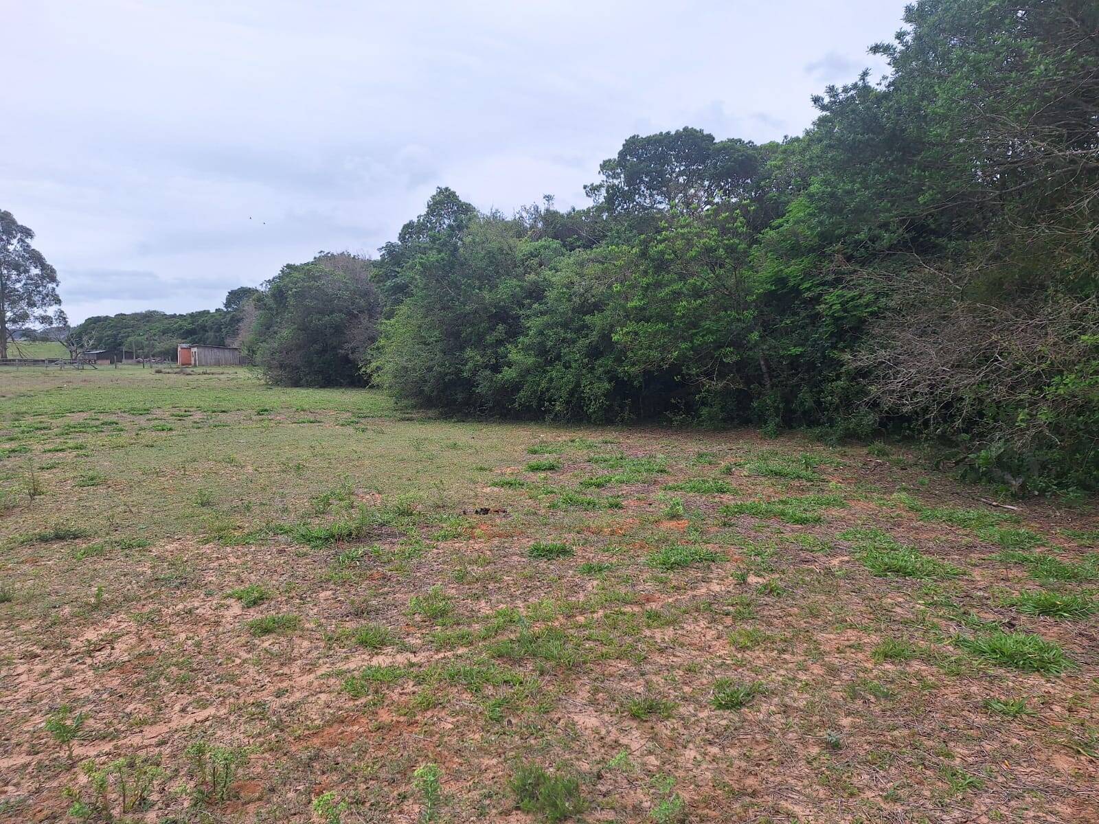 Terreno, 2 hectares - Foto 13