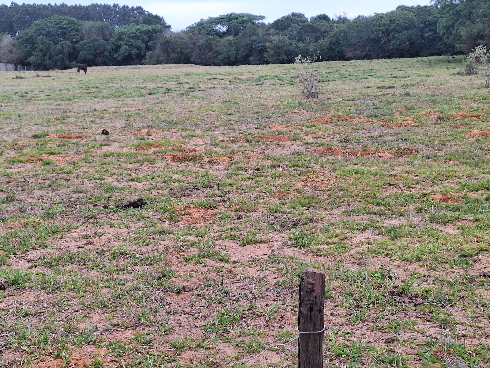 Terreno, 2 hectares - Foto 14