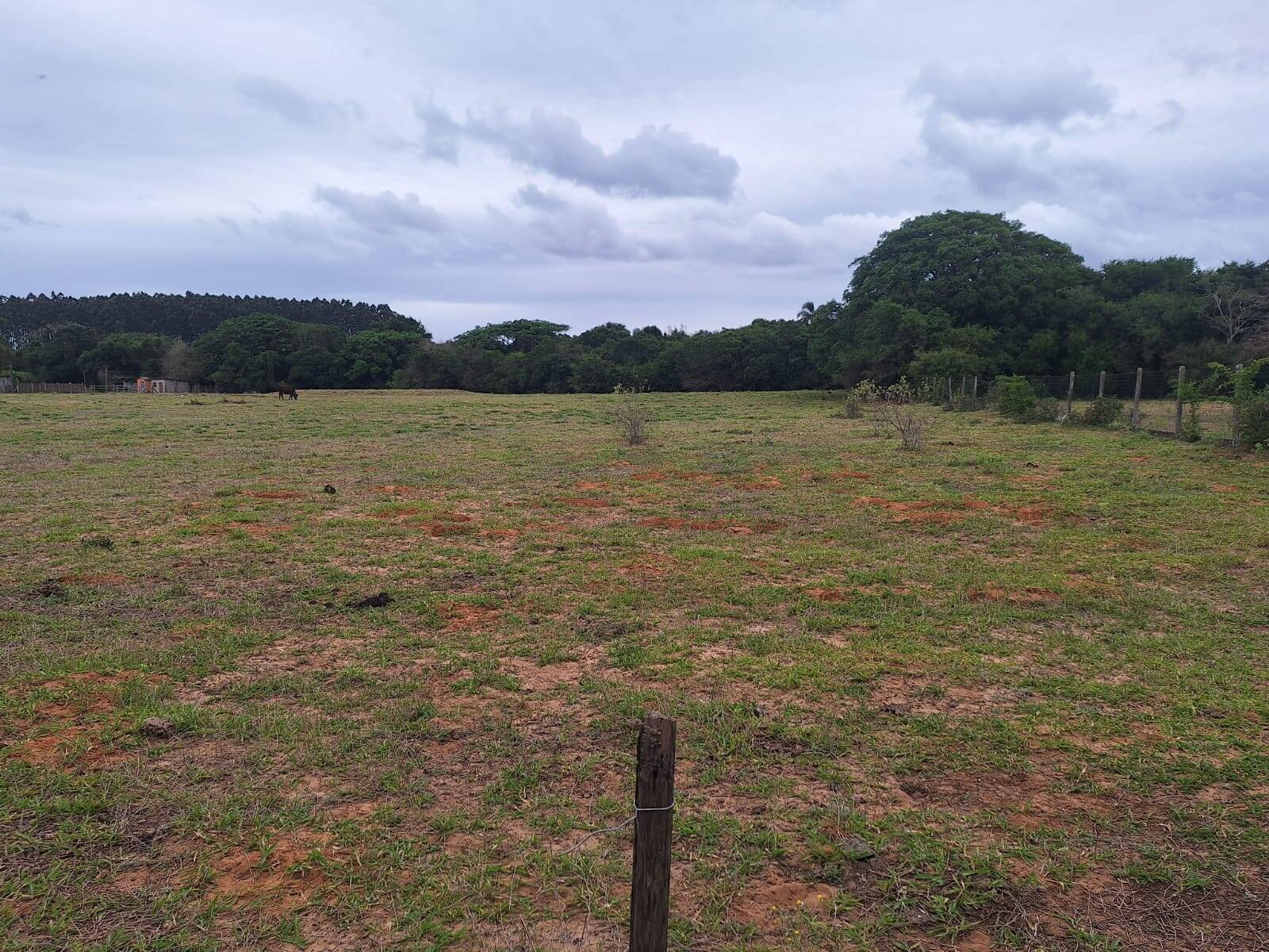 Terreno, 2 hectares - Foto 15