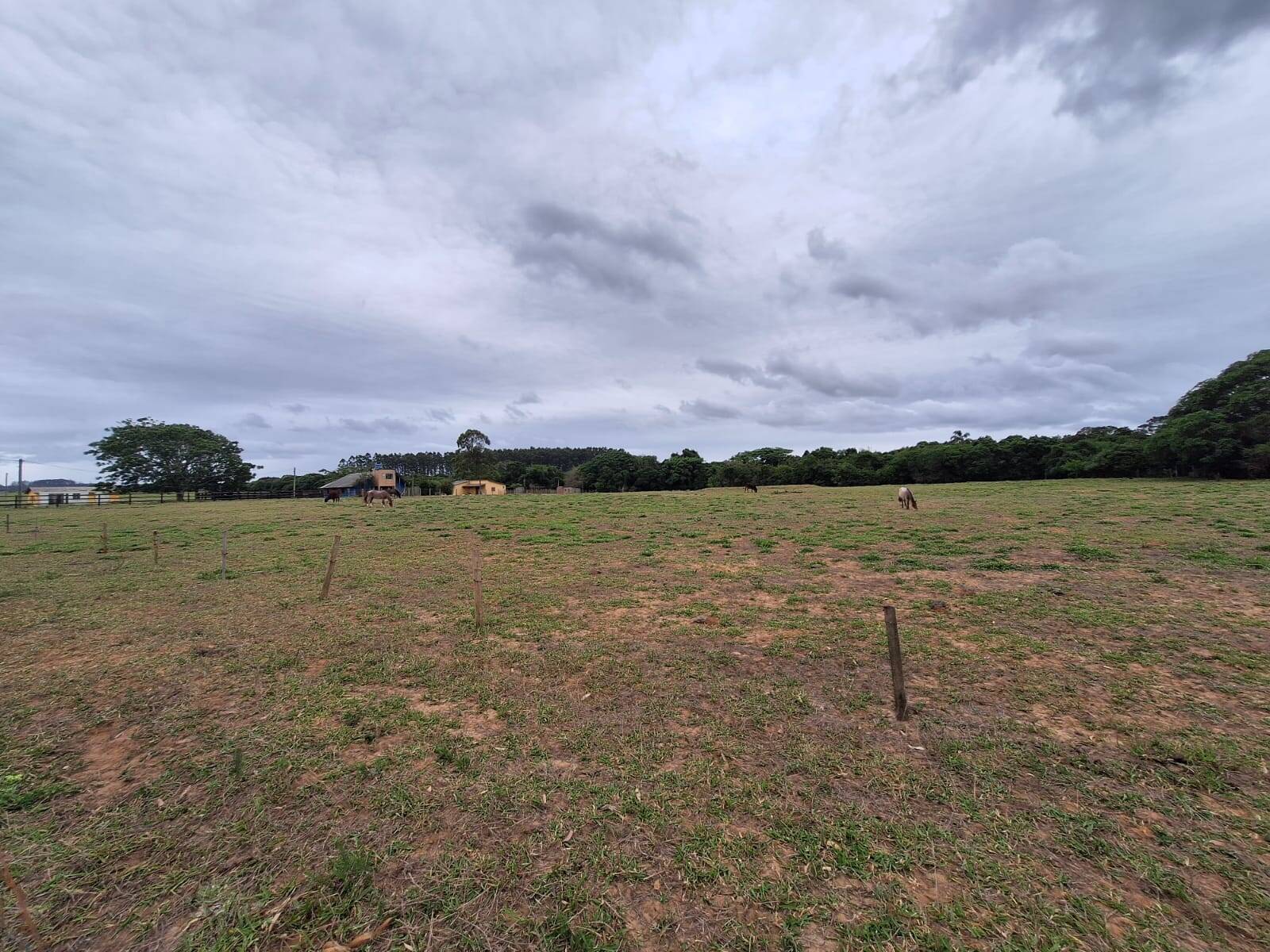 Terreno, 2 hectares - Foto 17