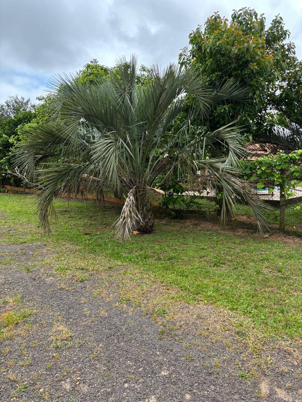 Sítio, 3 quartos, 1012 m² - Foto 7