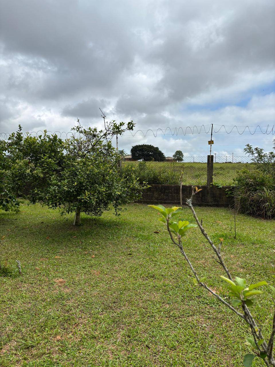 Sítio, 3 quartos, 1012 m² - Foto 25