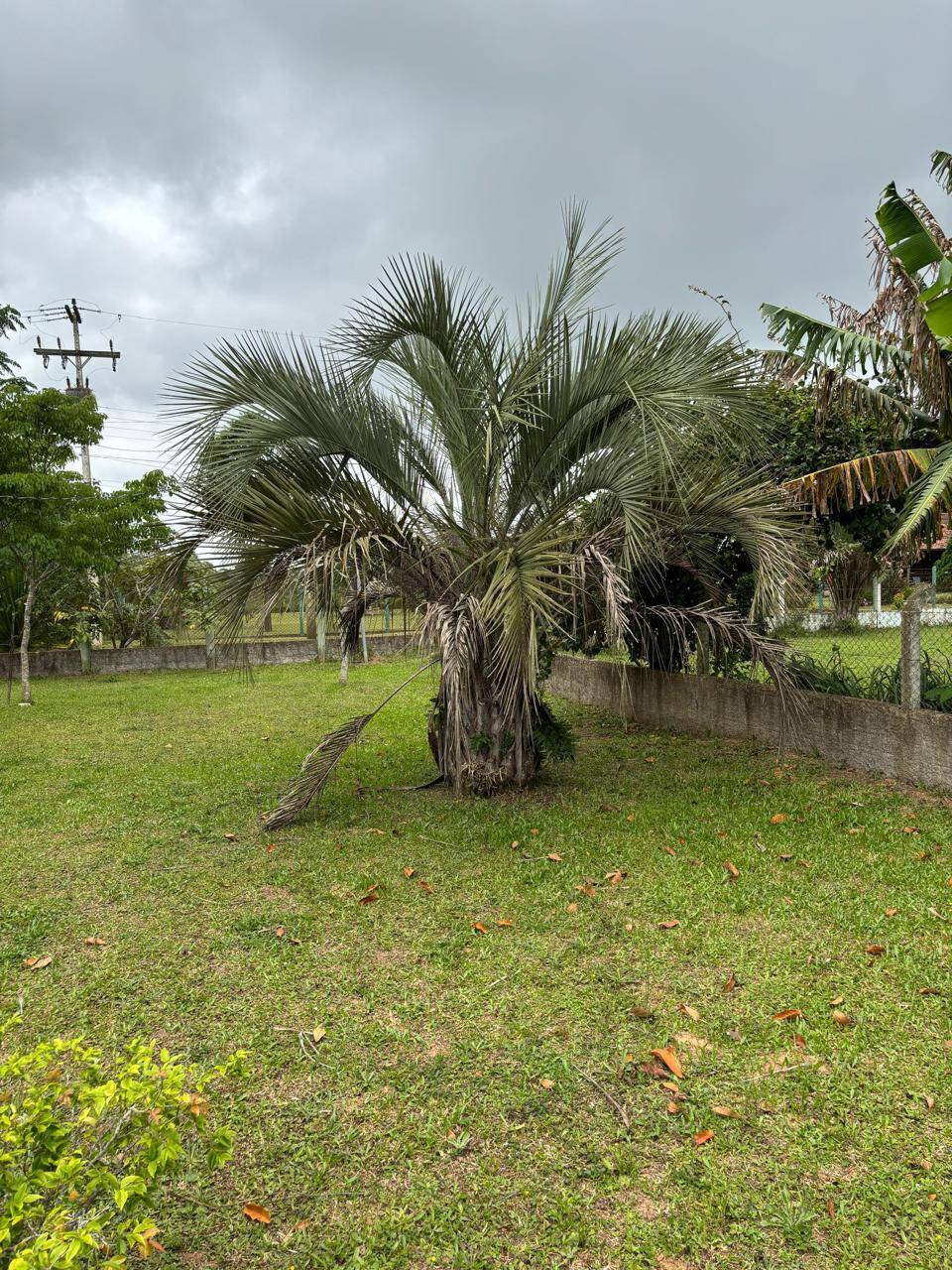 Sítio, 3 quartos, 1012 m² - Foto 26