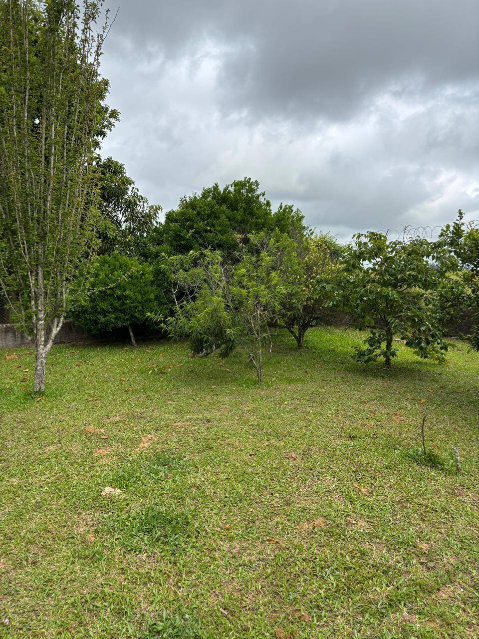 Sítio, 3 quartos, 1012 m² - Foto 27