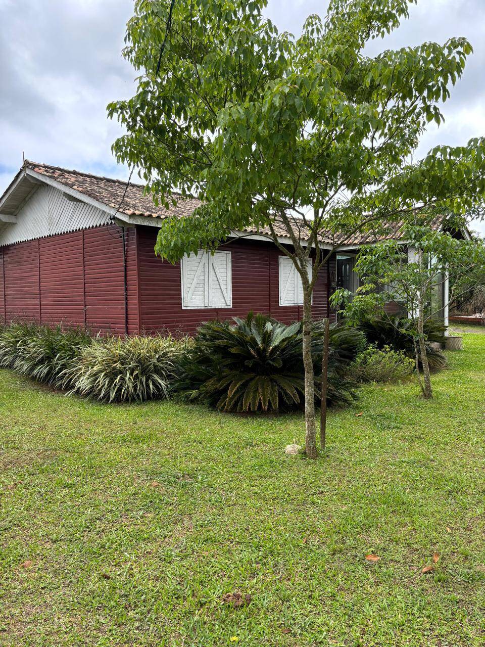 Sítio, 3 quartos, 1012 m² - Foto 2