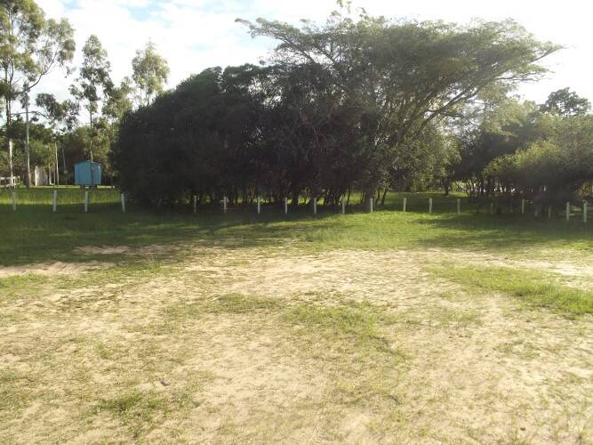 Casa, 3 quartos - Foto 24