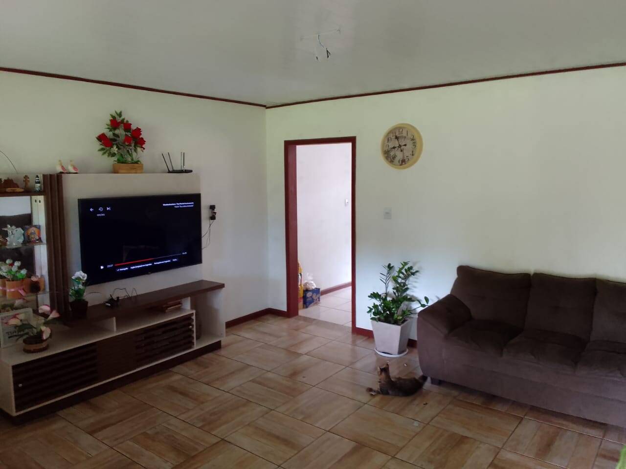 Sítio, 3 quartos, 2 hectares - Foto 5